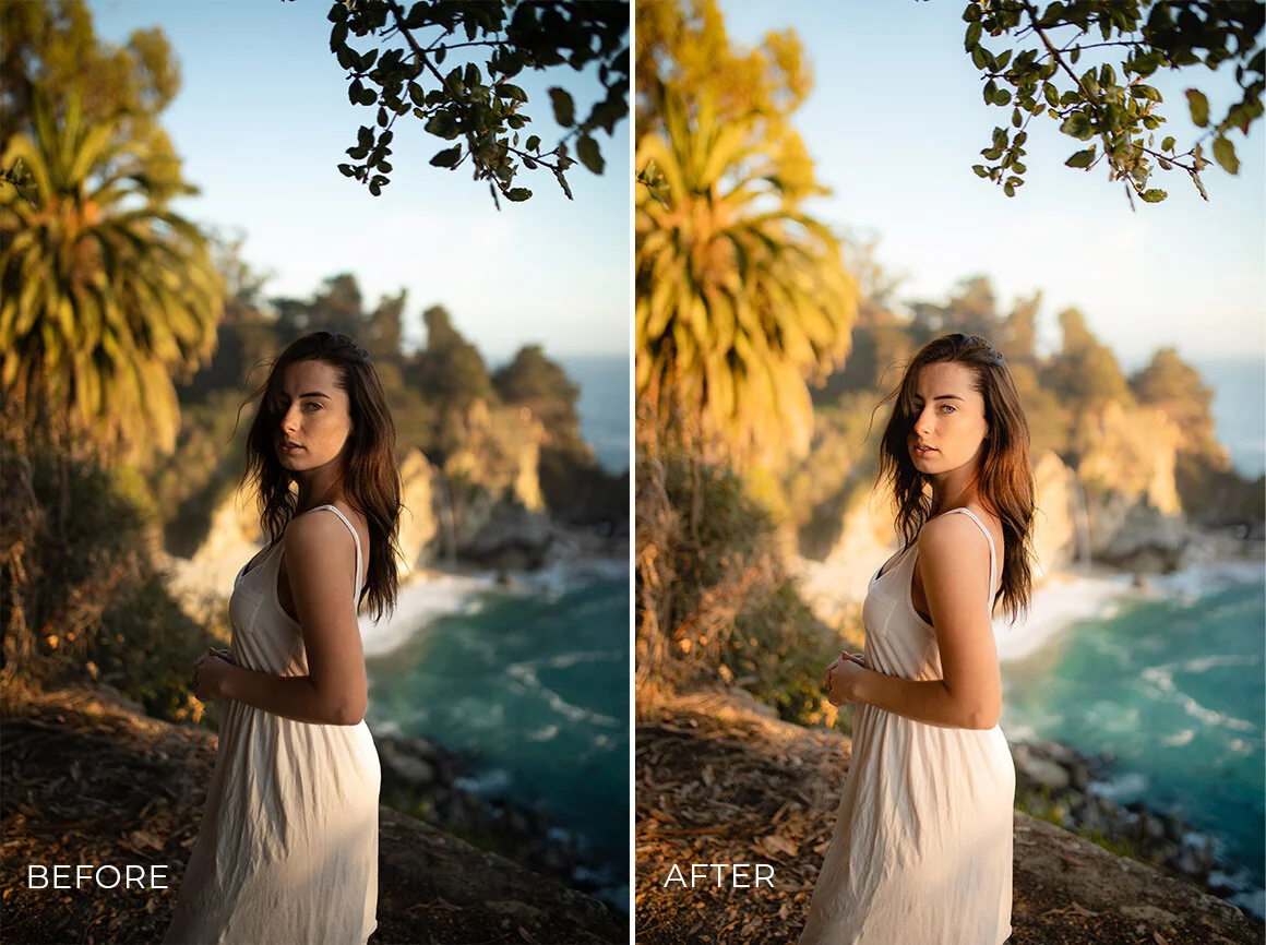 Portrait Preset example 1.jpg