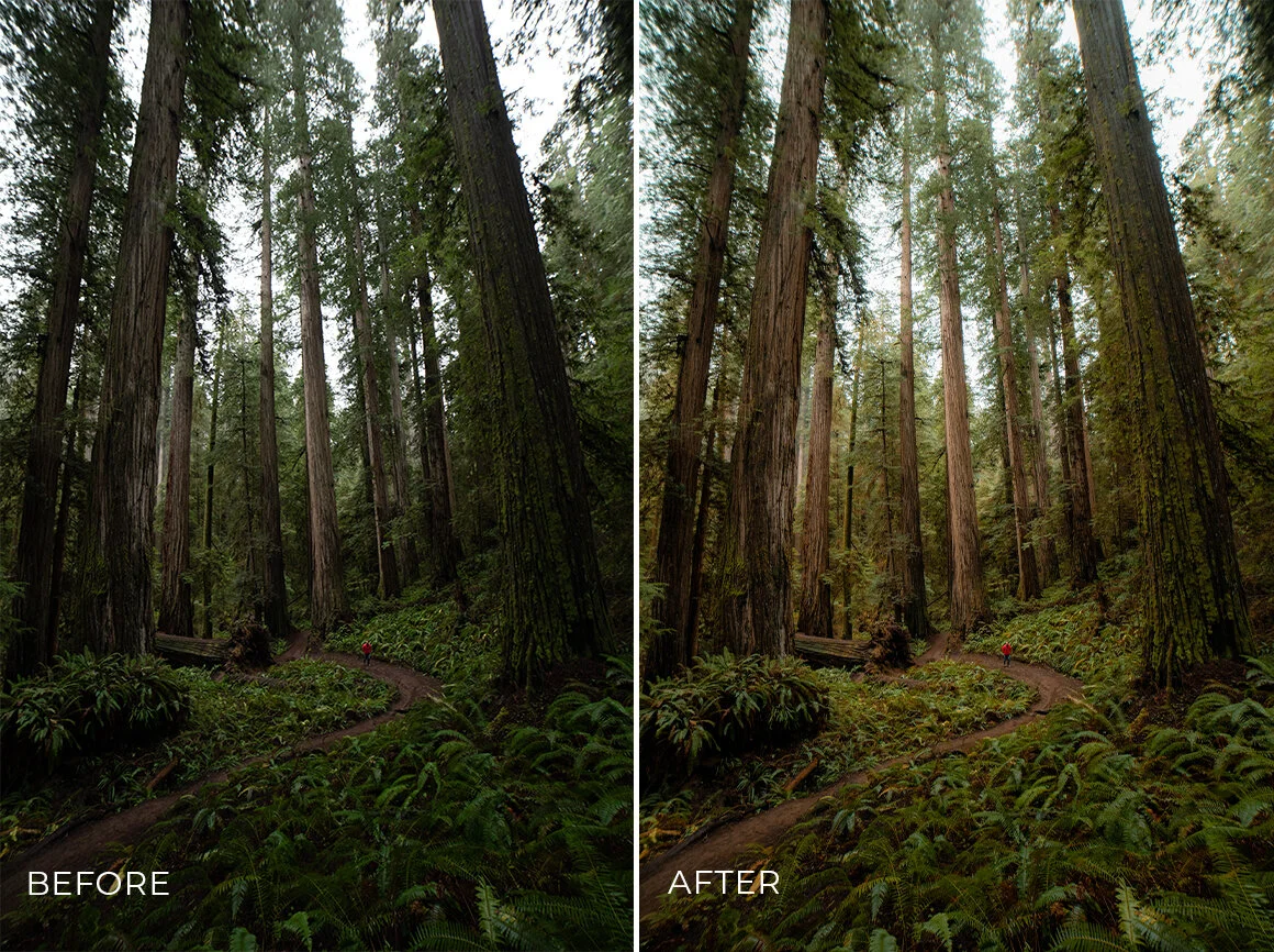 Green Tones example 1.jpg