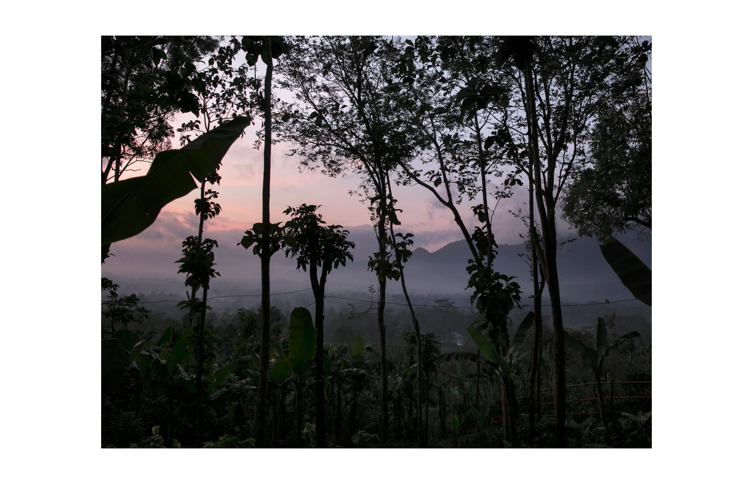 YOGYA2.jpg