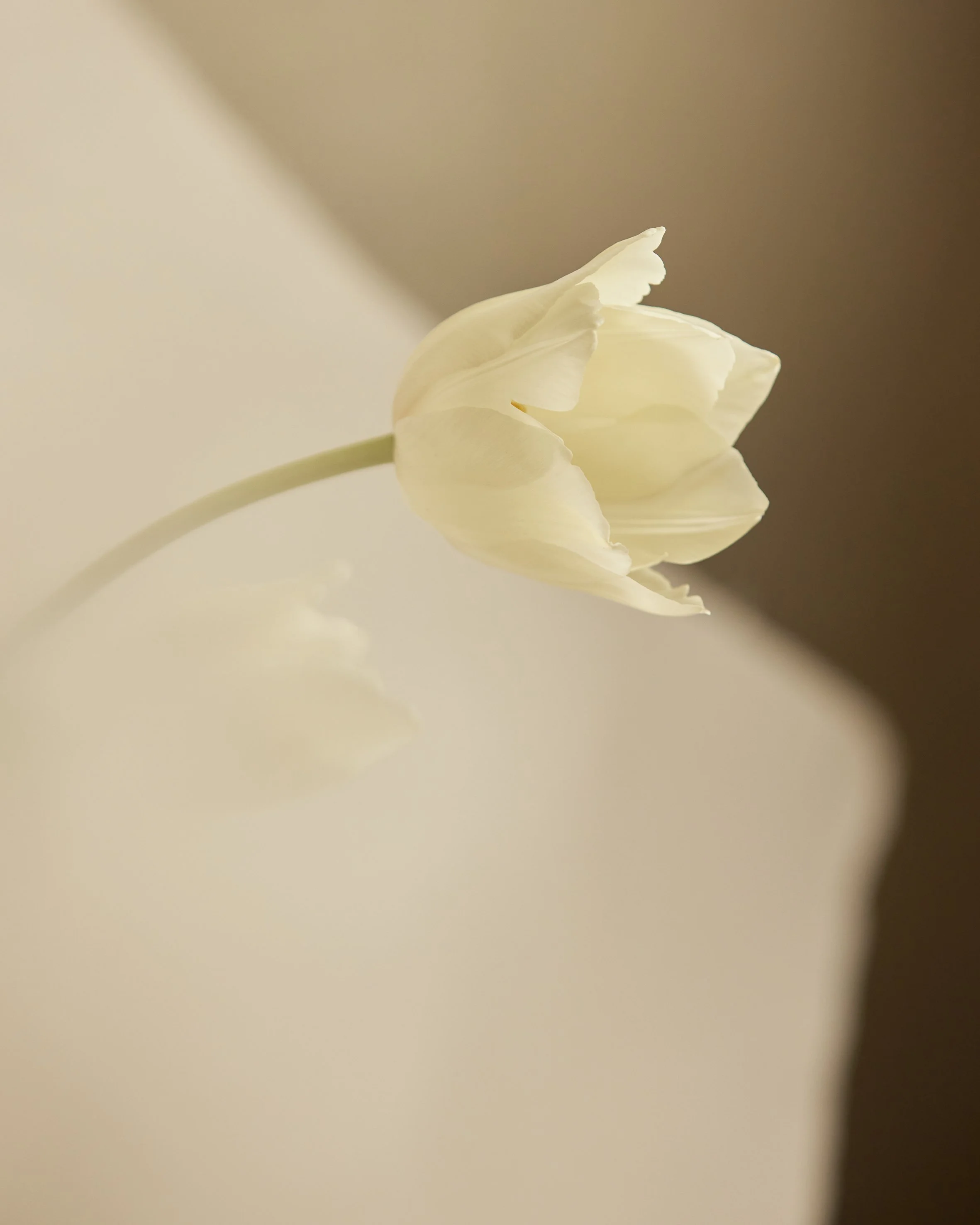 THE GALLERY 36 1.jpg