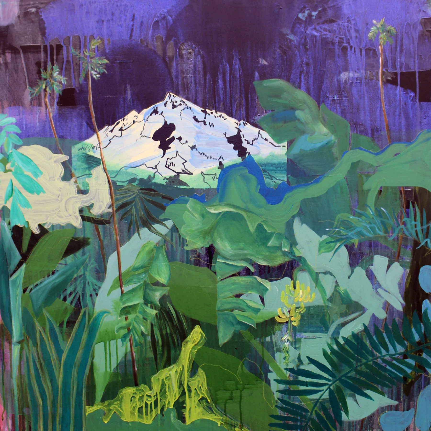 Jungles