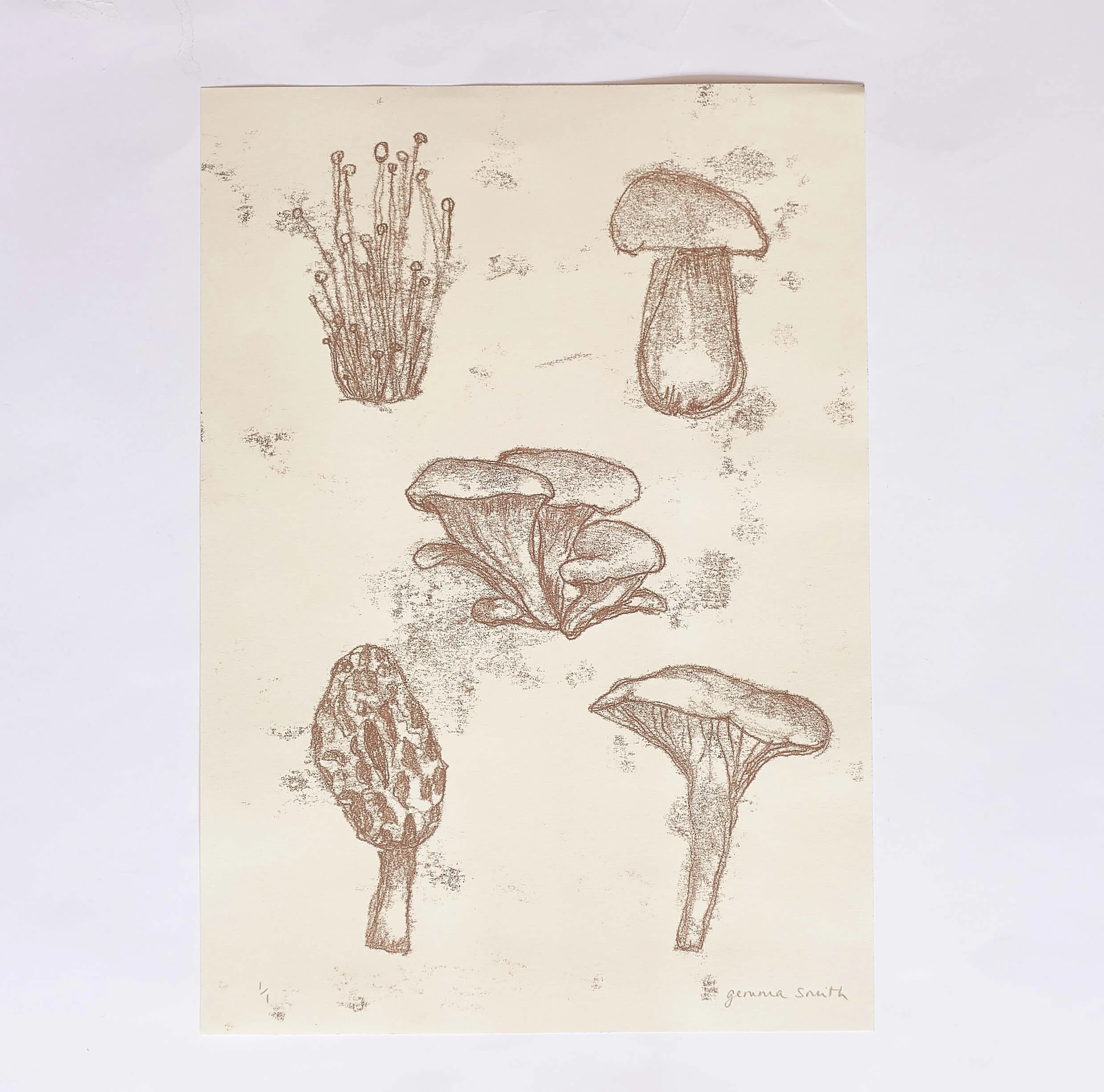 Mushroom mono 3.jpg