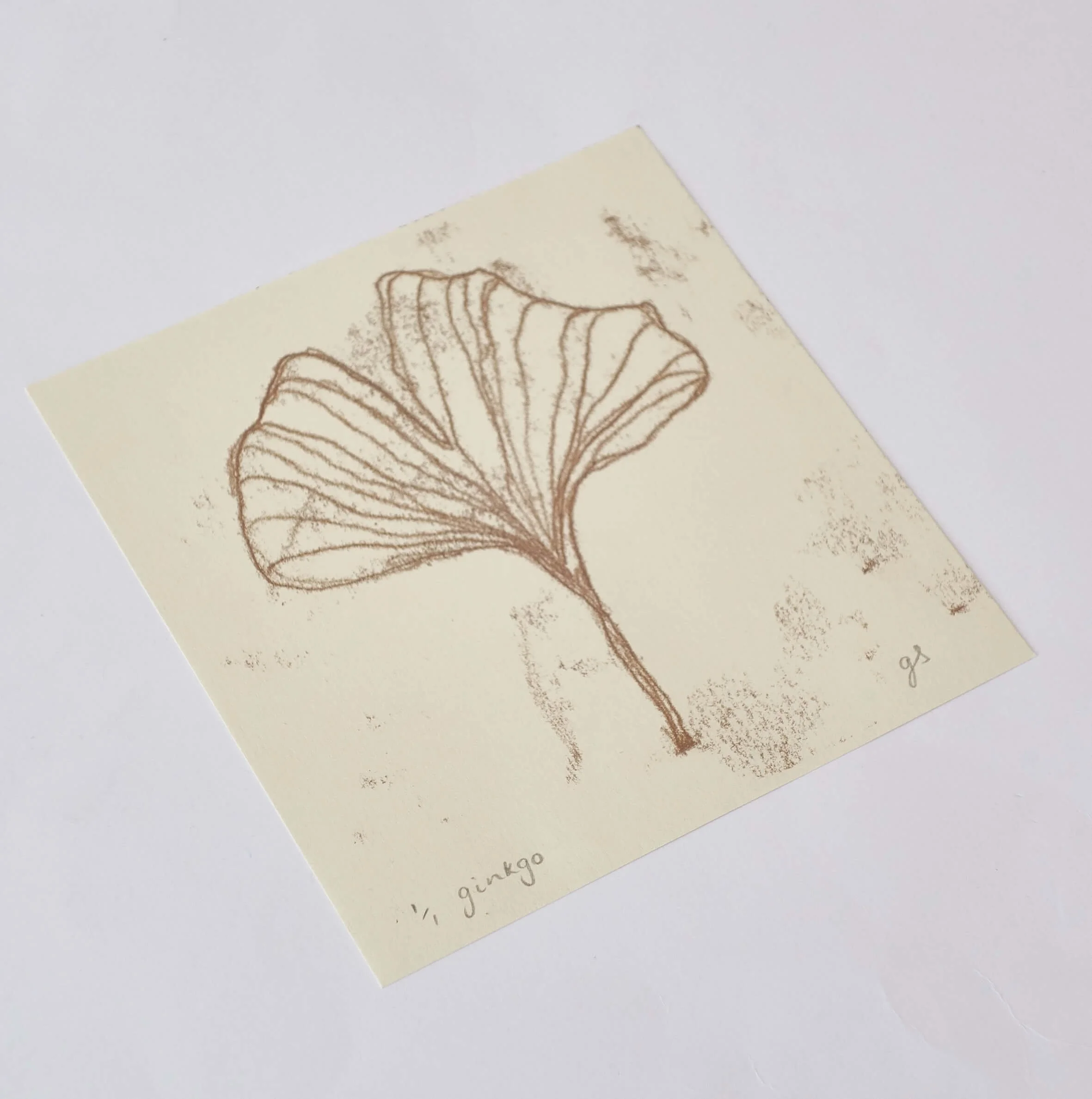 Ginkgo side shot.jpg