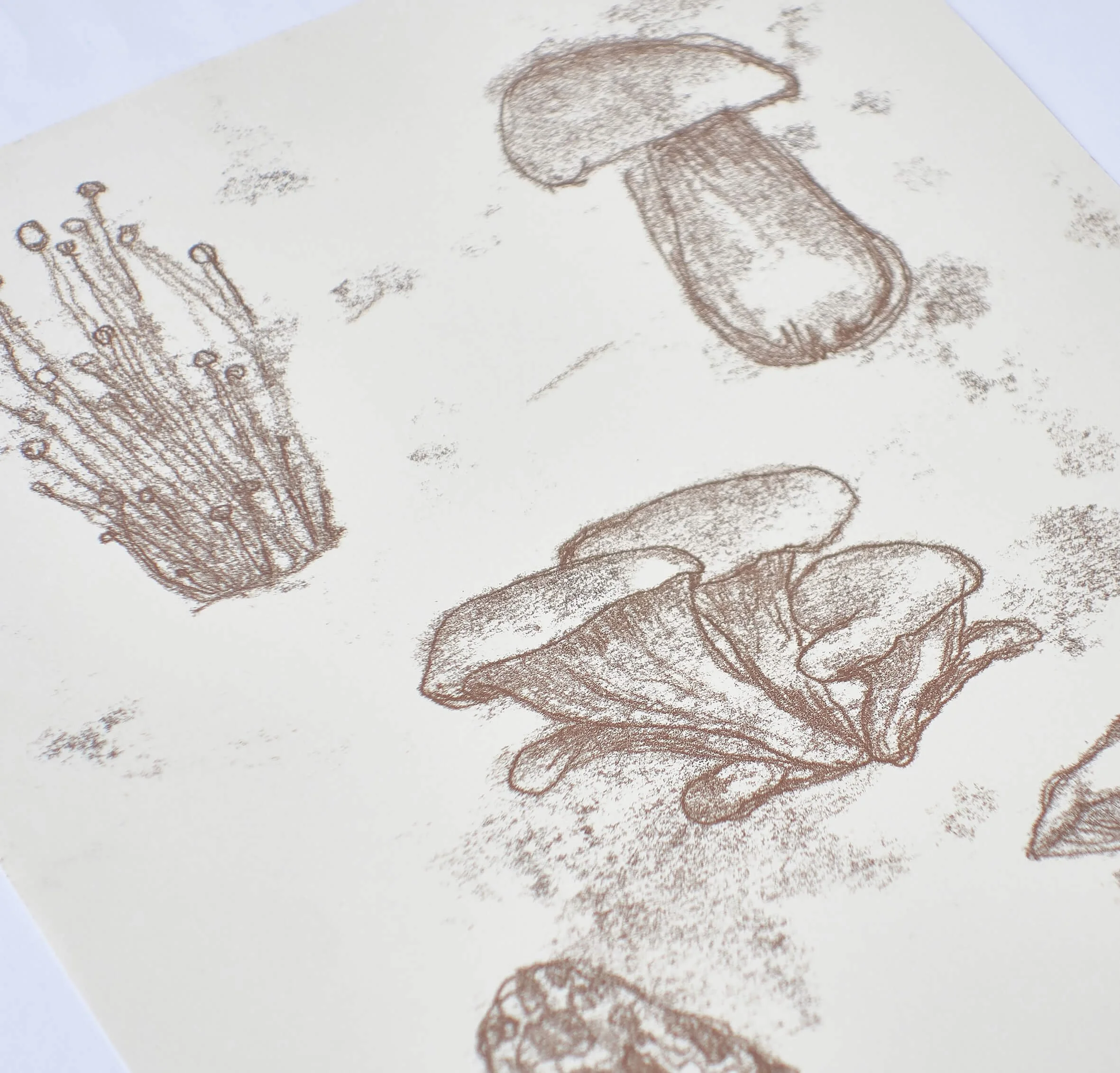 Mushroom mono 3 close up.jpg