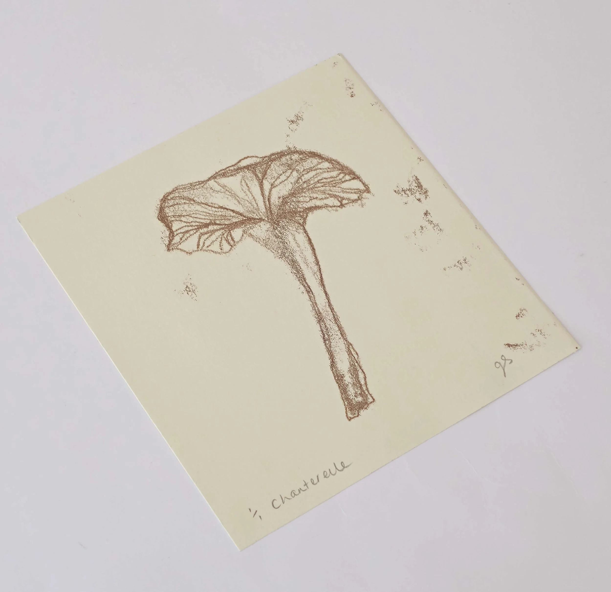 Chanterelle side shot.jpg