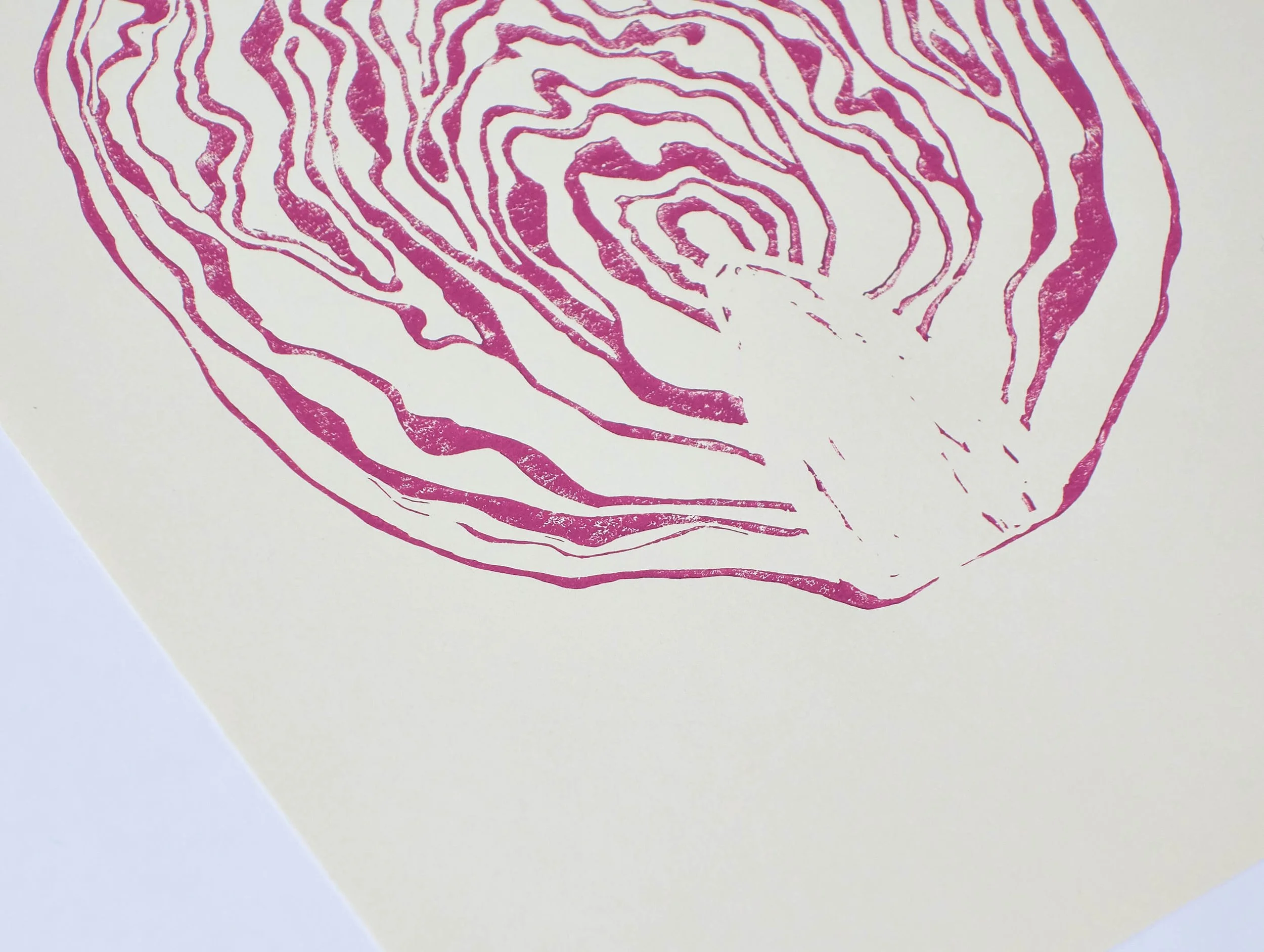 Red cabbage close up copy.jpg