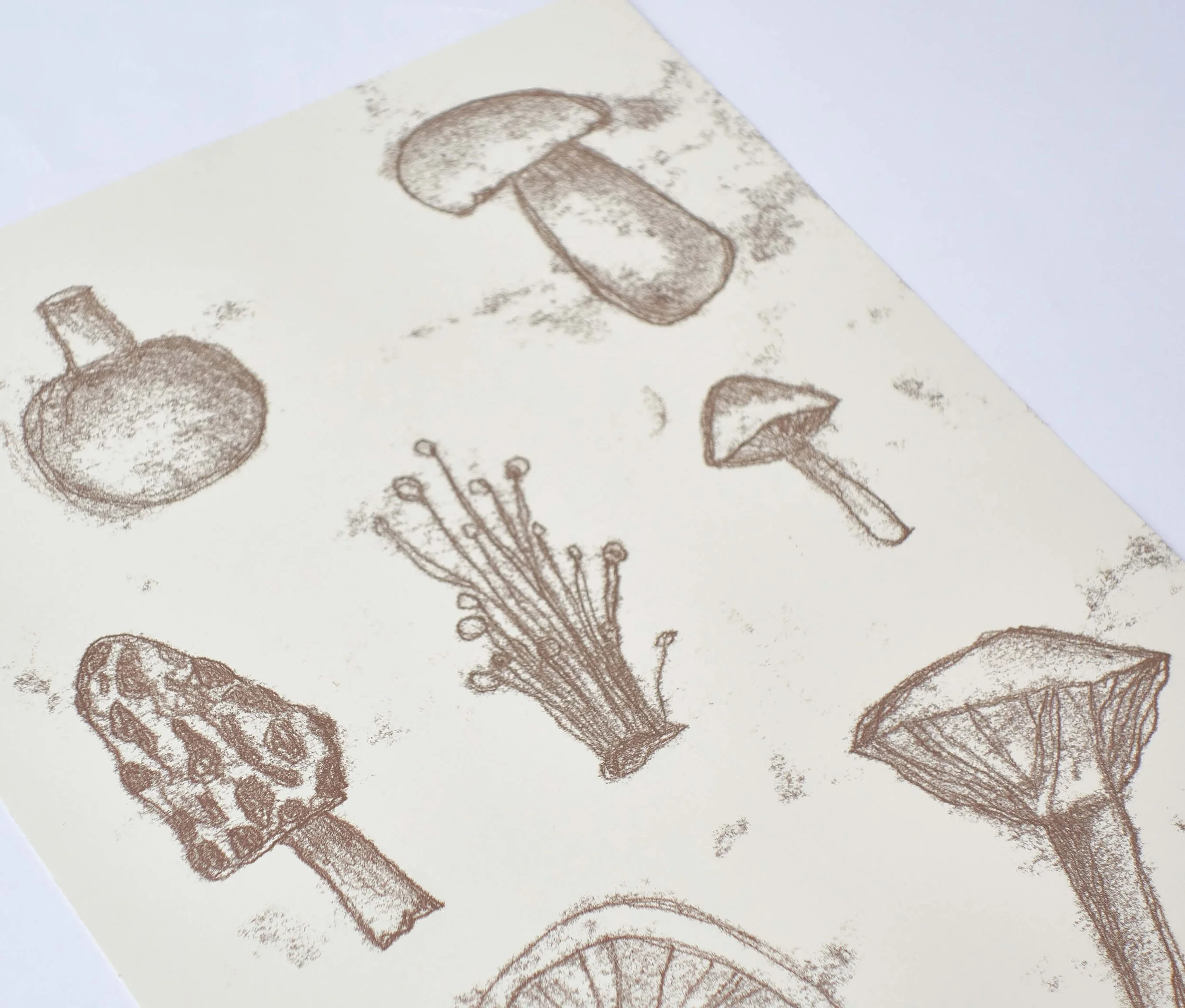 Mushroom mono 2 close up.jpg