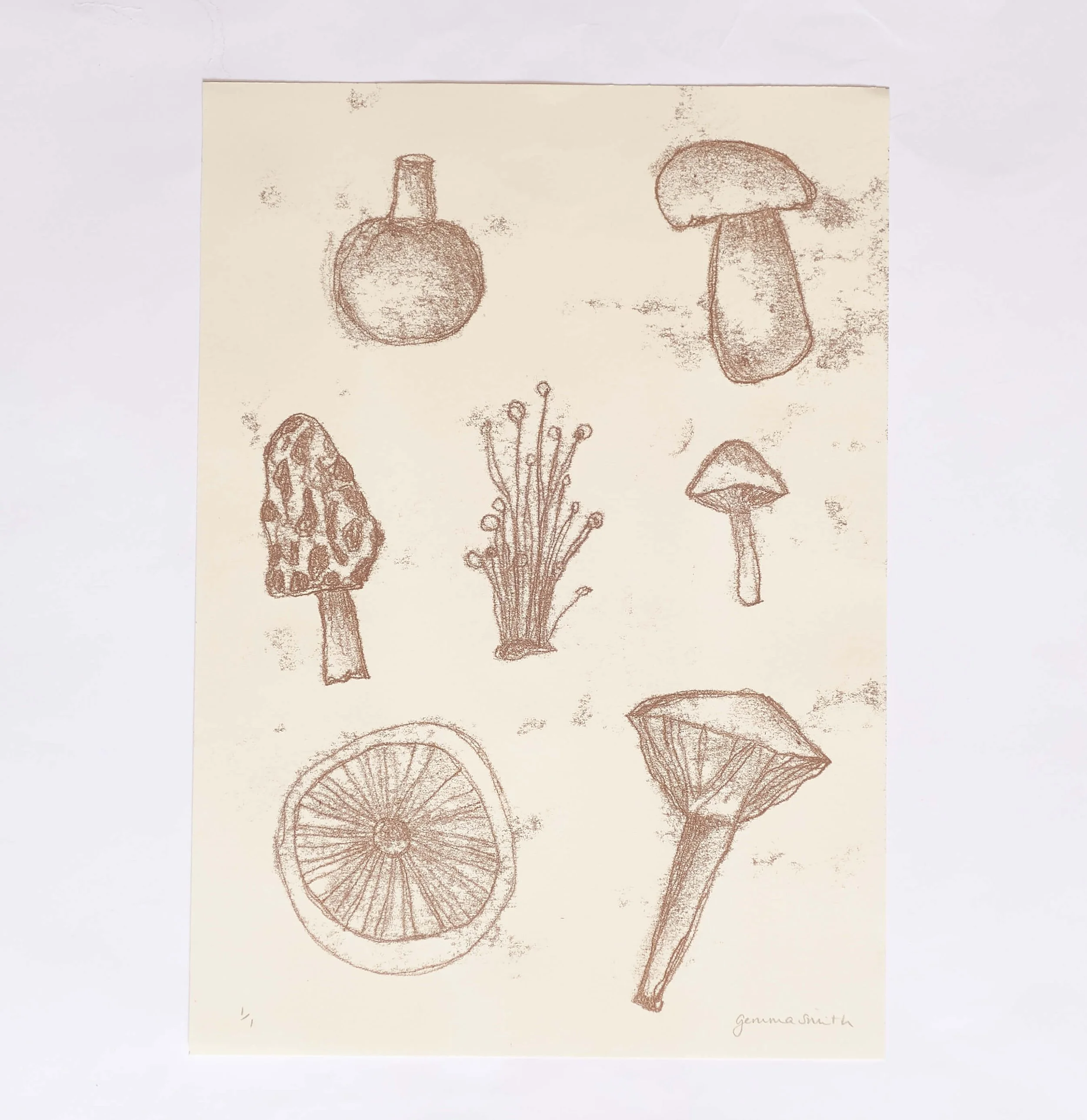 Mushroom mono 2.jpg