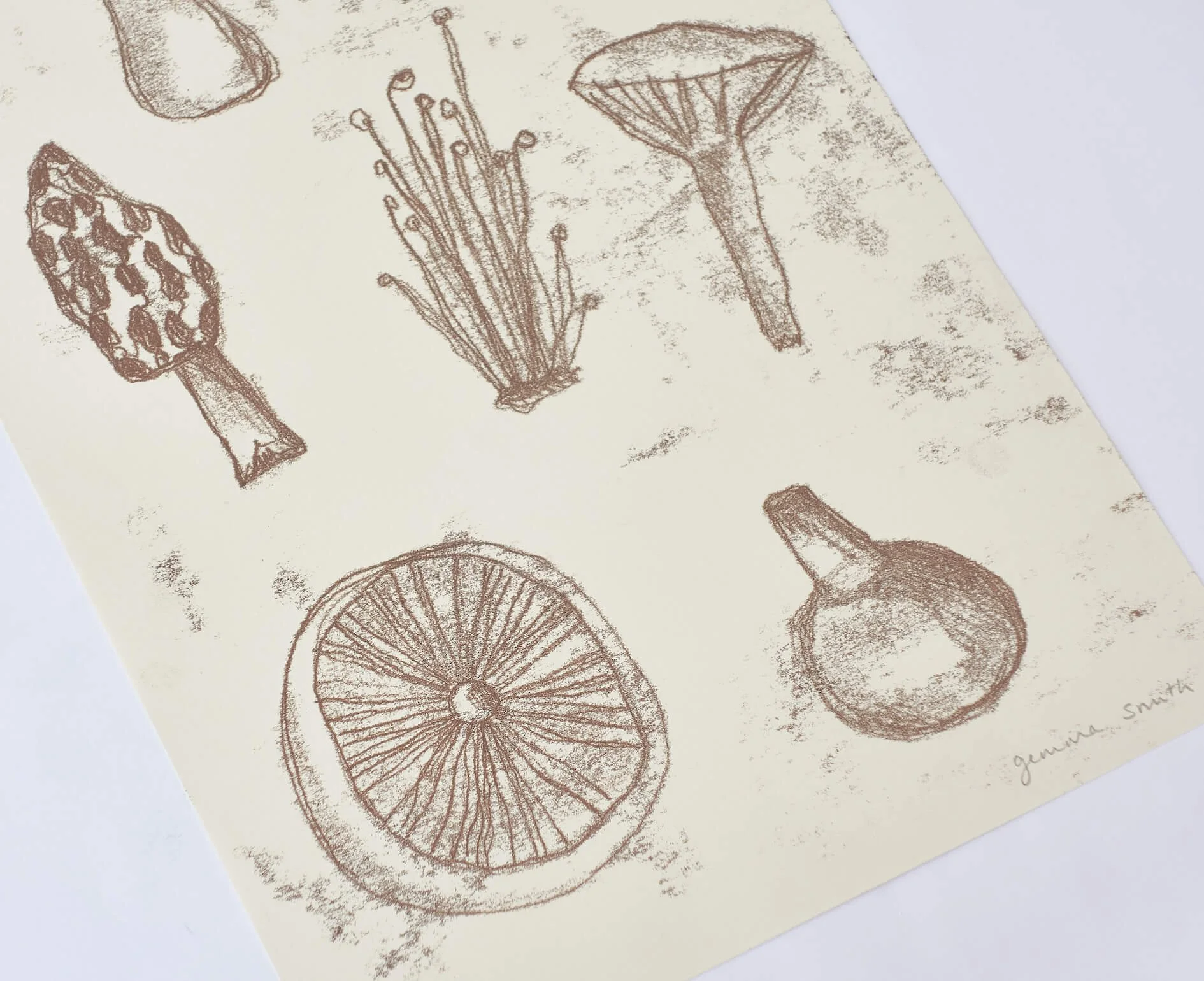 Mushroom mono 1.jpg