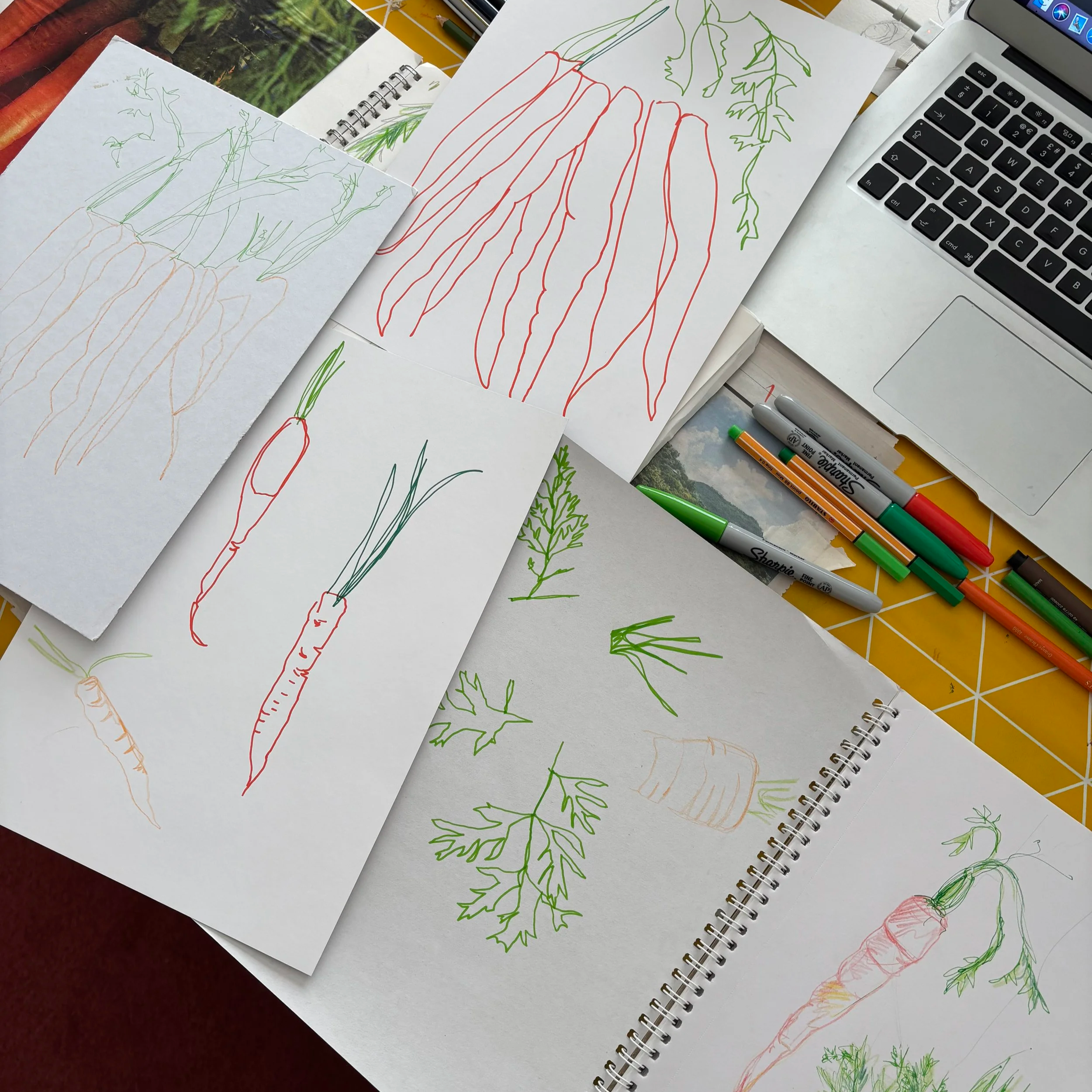 Carrot+sketches.png