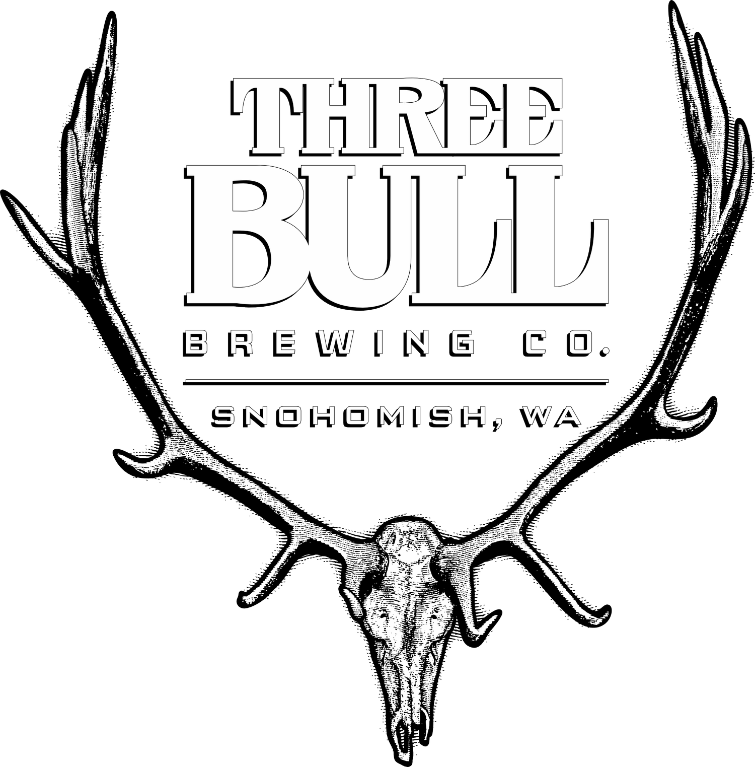 Three Bull Brewing