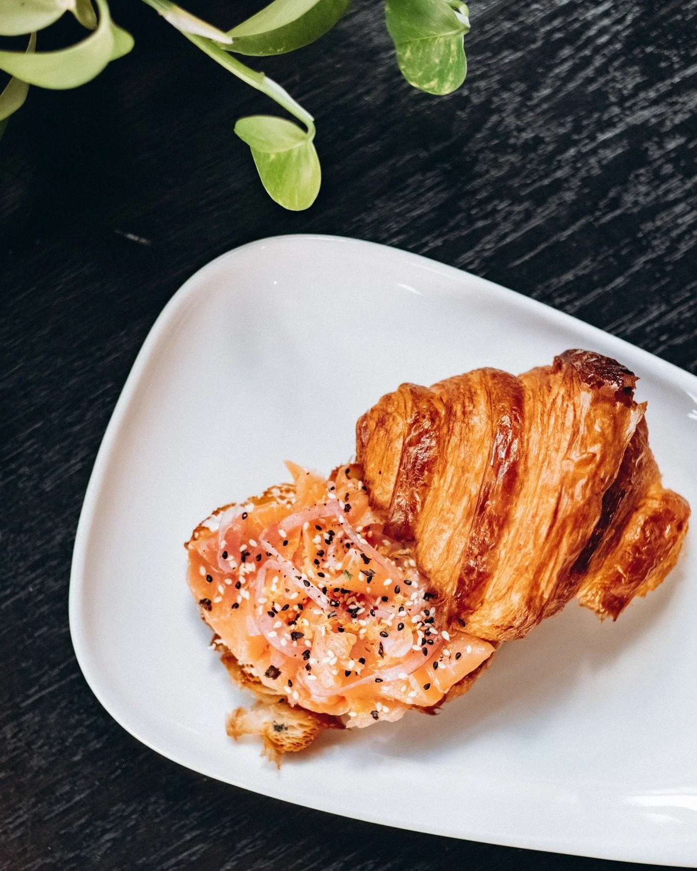 Craving something fresh and full of flavor?
Our Salmon Croissant never misses. Built on a buttery, flaky croissant and layered with rich goat cheese and smoked salmon, it&rsquo;s finished with lemon zest, fresh dill, olive oil, and a sprinkle of furi