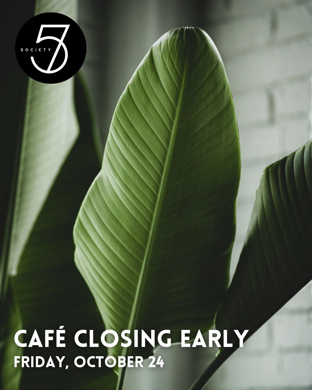 📣 Heads up! This Friday, our caf&eacute; will be open from 8am&ndash;11am only&mdash;we&rsquo;ll be closing early for a private event. Regular hours resume Saturday, October 25th (8am&ndash;3pm). Stop in early Friday to enjoy your favorite coffee an