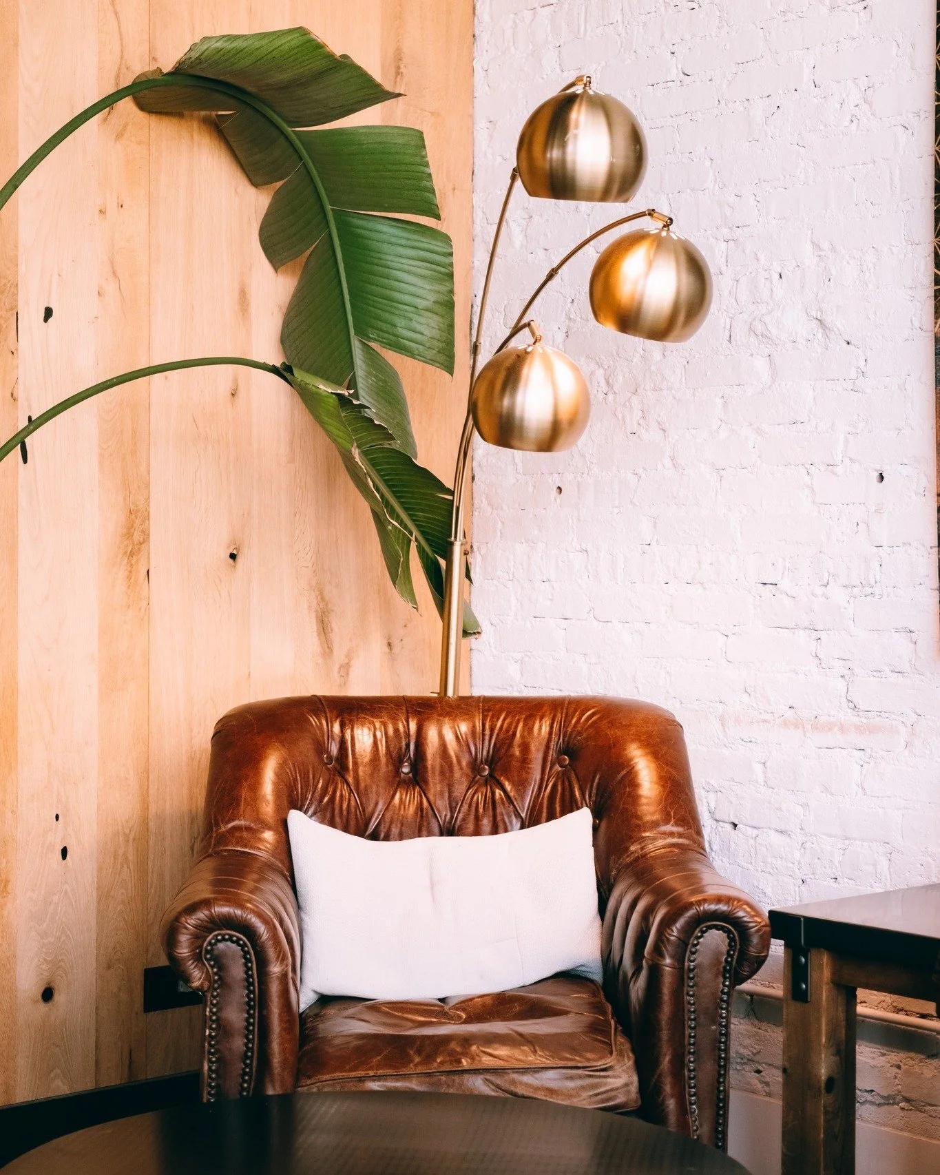 A seat with your name on it. Cozy up with a good book and a bottomless cup of coffee, we'd love to have you spend your day with us.
-
-
-
-
-
-
#society57 #aurora #downtownaurora #aurorail #coffee #cafe #coffeeshop #specialtycoffee #specialtycafe