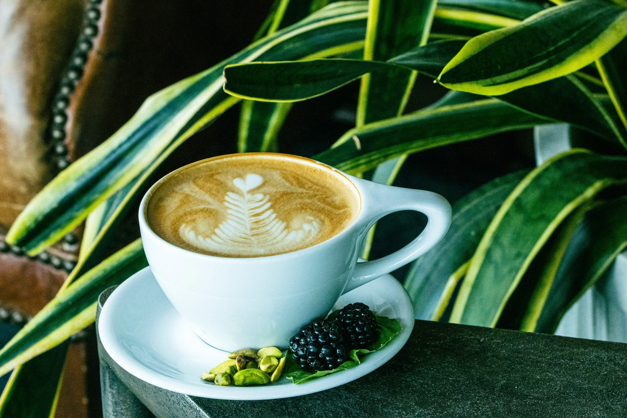 Pistachio. Blackberry. Basil.

It sounds like a lot. It&rsquo;s not.

Nutty, lightly sweet, and more subtle than you&rsquo;d expect - this one&rsquo;s quietly become a favorite.

Hot, iced, or even as a matcha.

Curious what you think.
-
-
-
-
-
-
#s