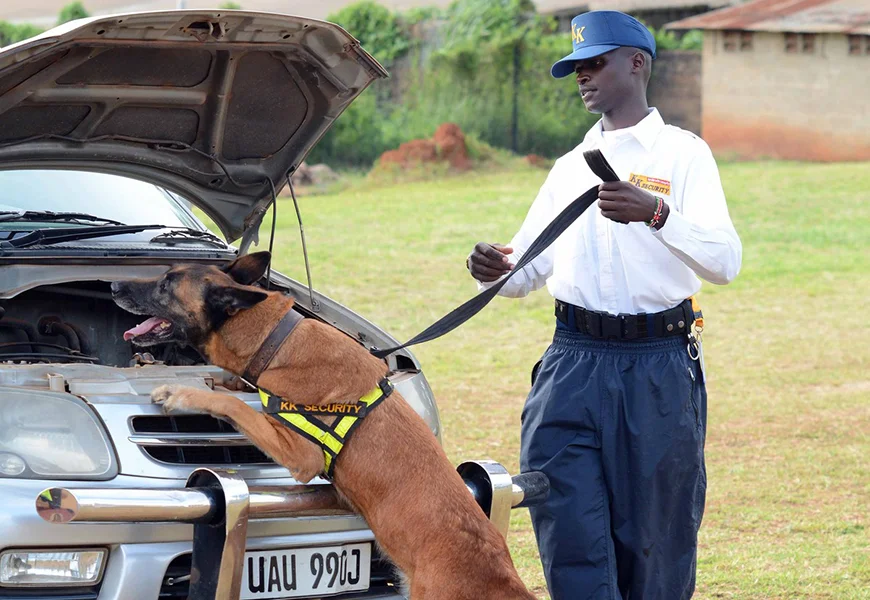 Canine Security KK Security