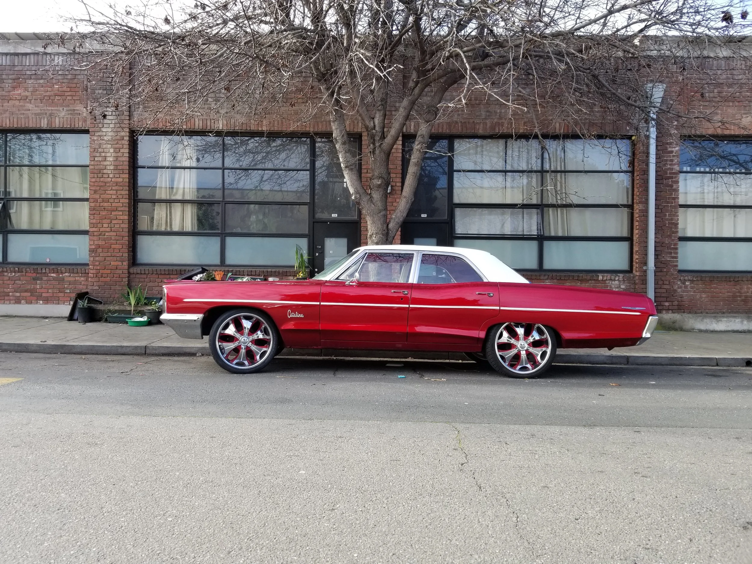 20180306_085612.jpg