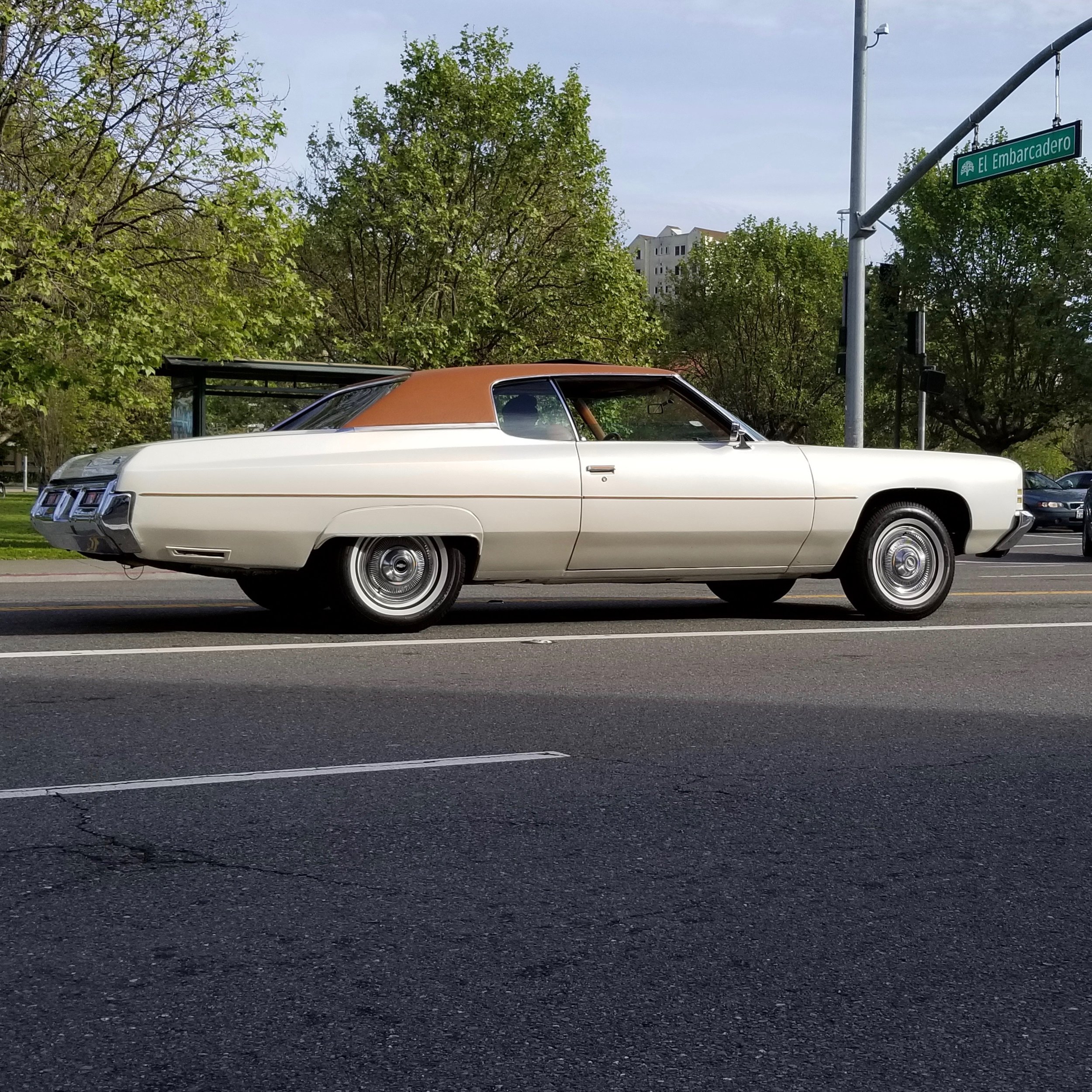 20190414_172044.jpg