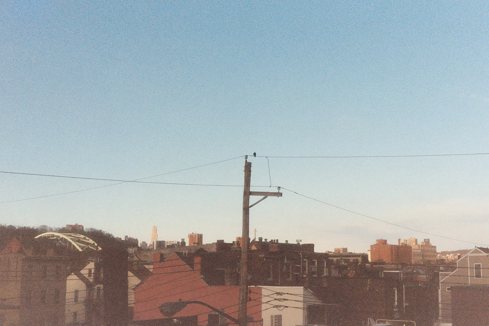 Pic_0022.jpg