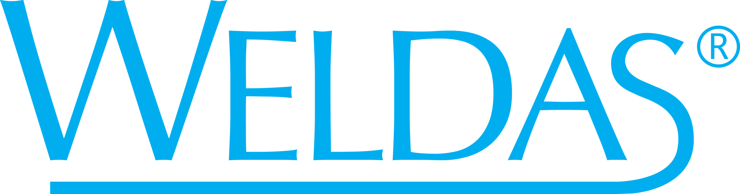 weldas logo.png