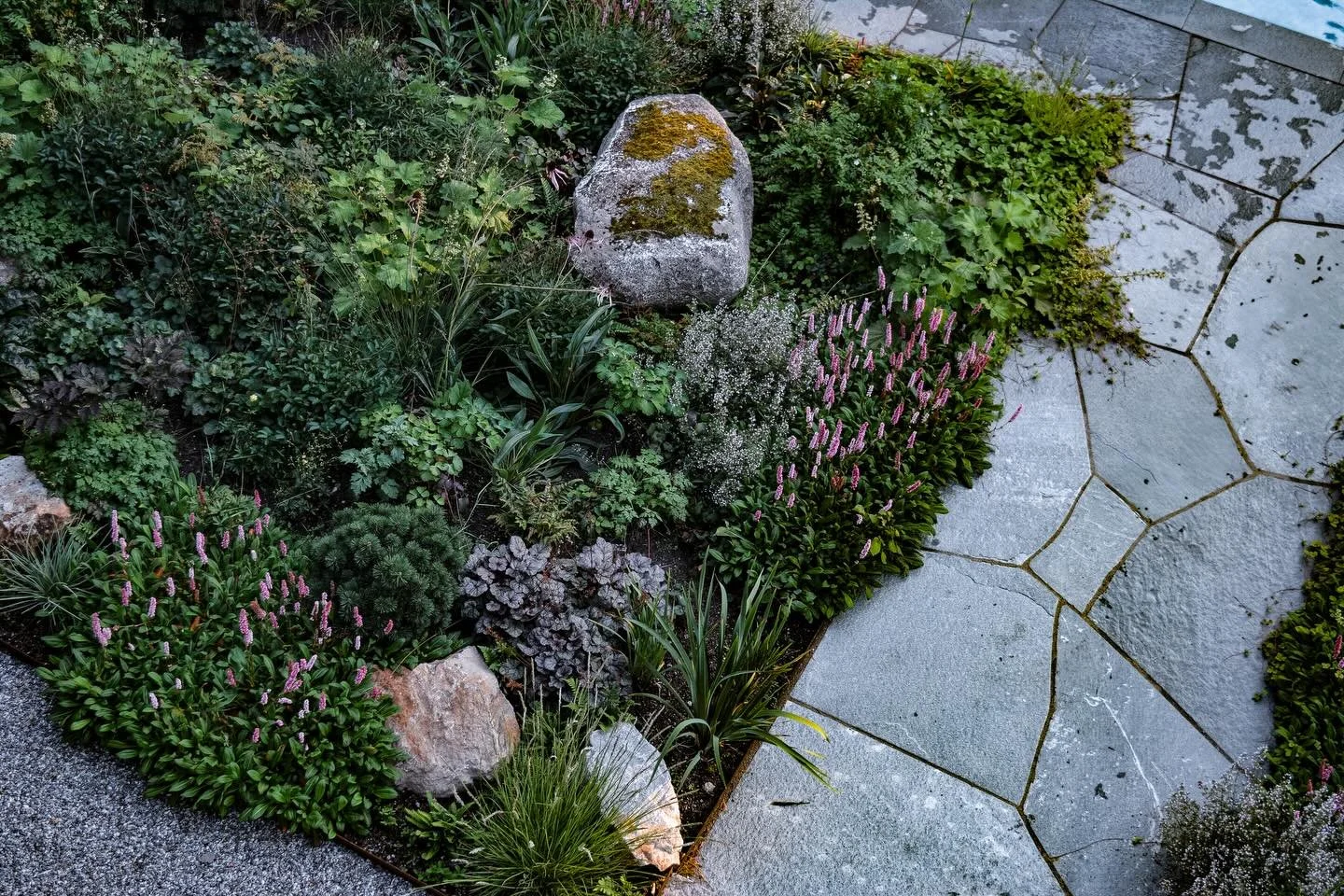 Samma v&auml;xtb&auml;dd. Ett annat perspektiv. 🌱

En mix av biv&auml;nliga och fj&auml;rilsv&auml;xter, med flera inhemska arter som bygger en stabil och sj&auml;lvklar grund.
T&auml;nk s&aring; magisk en tr&auml;dg&aring;rd kan k&auml;nnas bara 6 