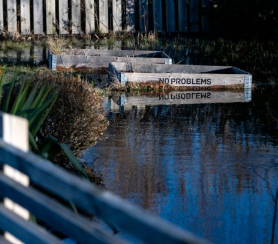 Hur påverkar klimatförändringarna våra trädgårdar?