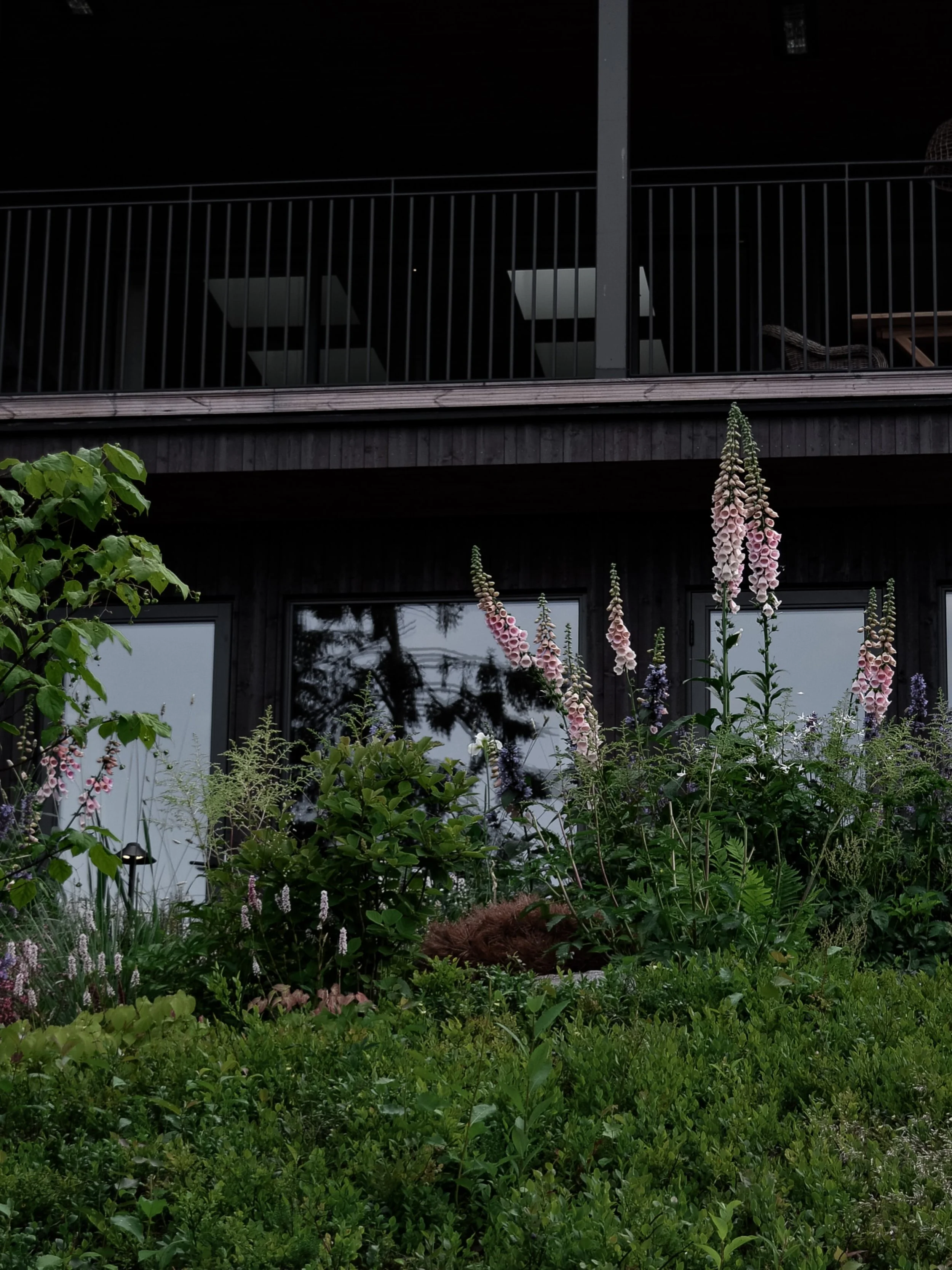 En minnesbild fr&aring;n juli. #tr&auml;dg&aring;rdsdesign #digitalis #tr&auml;dg&aring;rdsinspo #skogsmatta