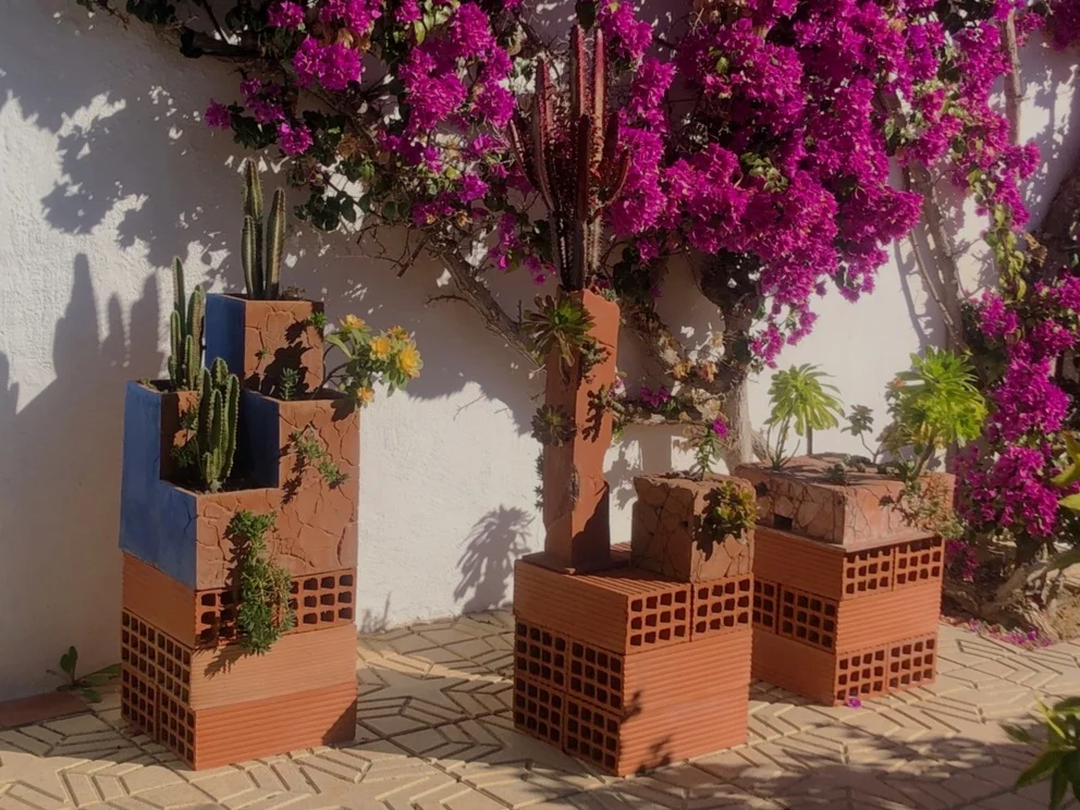 These prototype planted ceramic forms show how the simple renderings of the proposed forms for the exhibition will look when fabricated and planted.