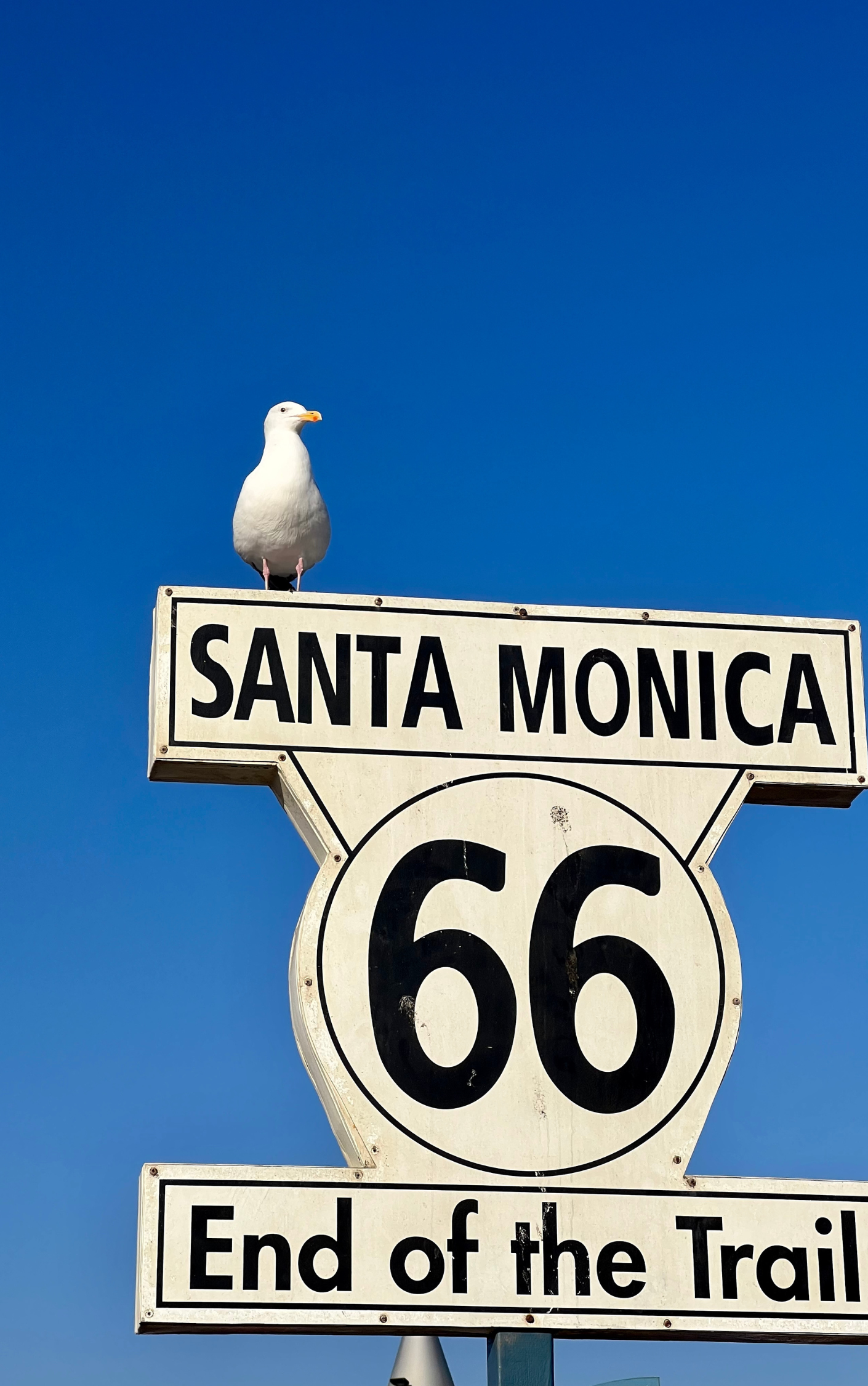 Santa Monica State Beach www.SantaMonicaRadio.com.png