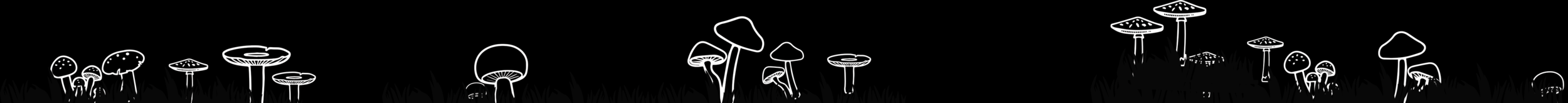 hsssn_mushroom_bottom.png