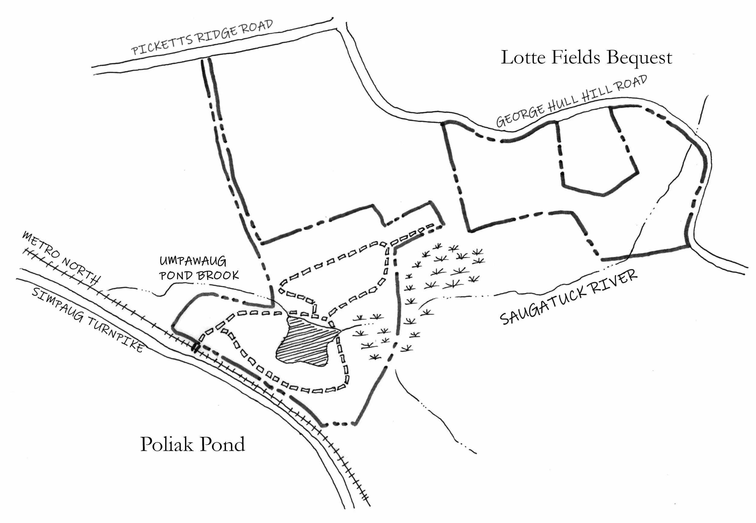 Fields Poliak.jpg