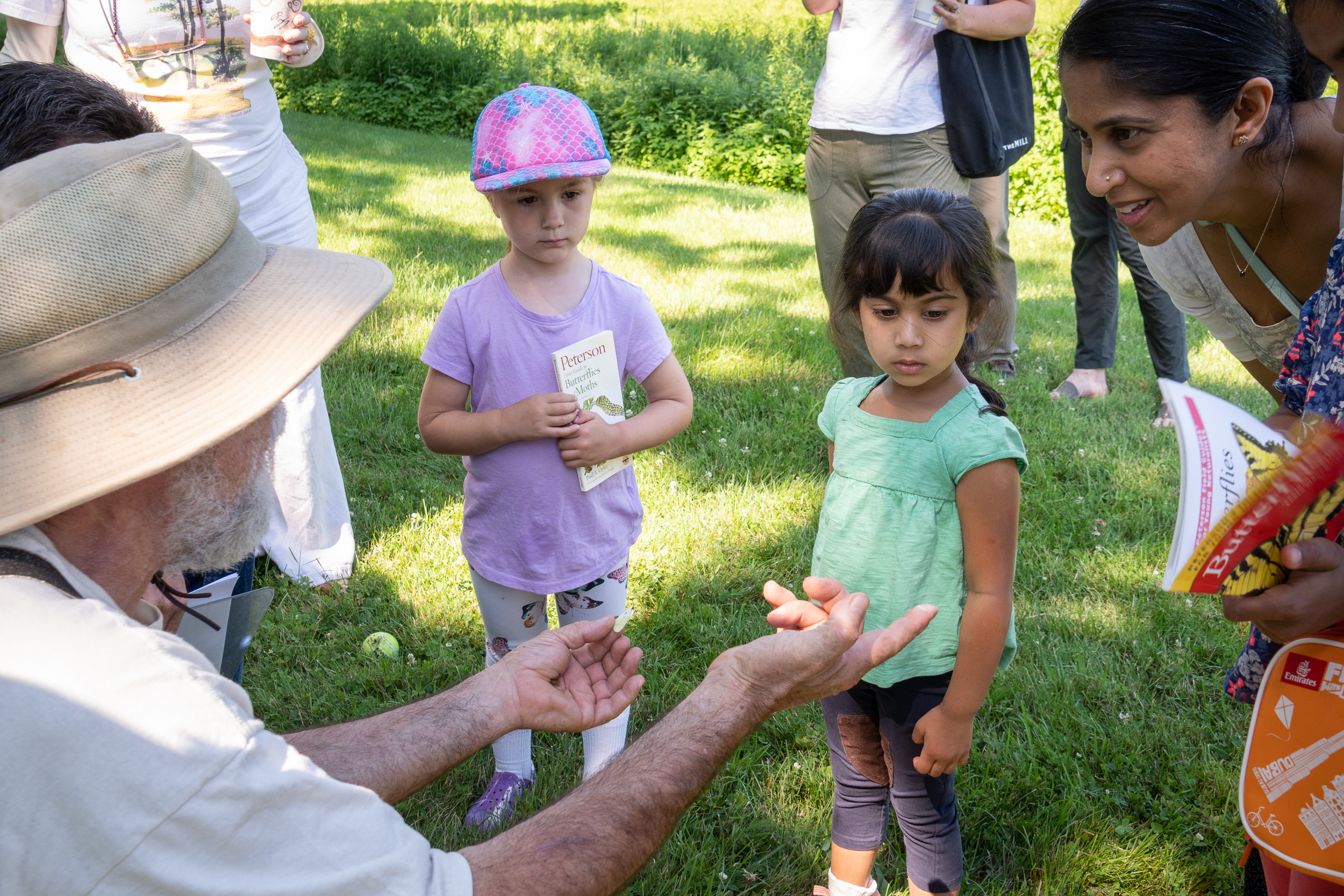 RLT 2018 Butterfly Walk-2.jpg