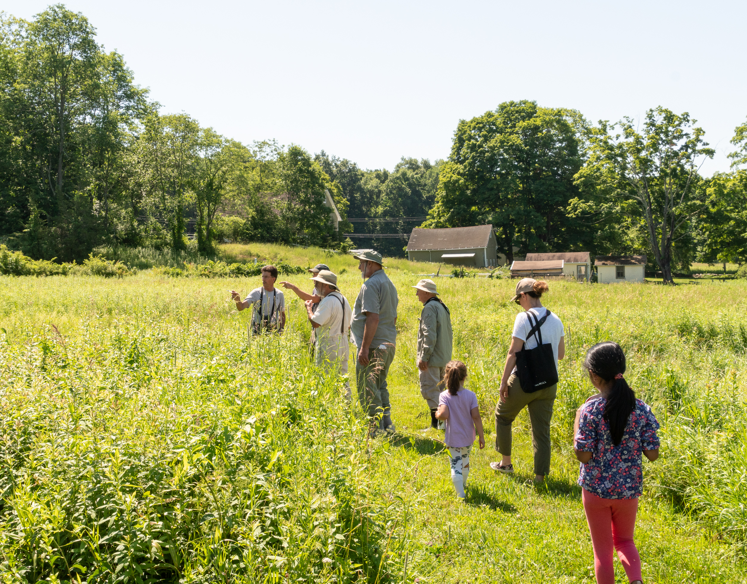 RLT 2018 Butterfly Walk-20.jpg