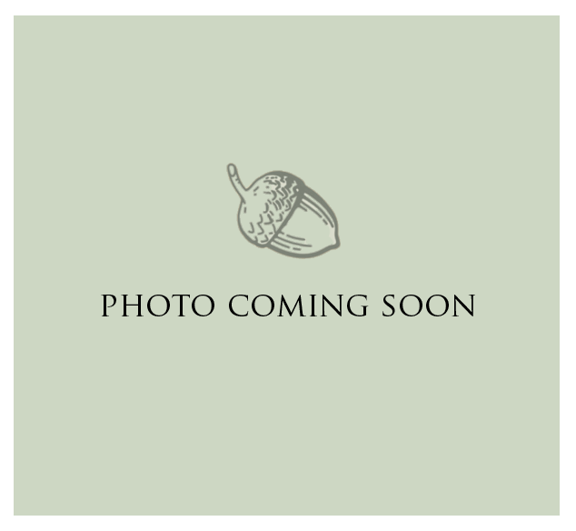 website photo coming soon copy.png