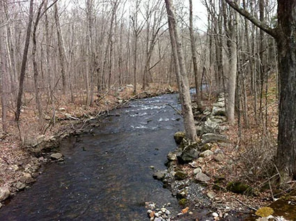 The Saugatuck River runs through Mrs. Fields’ property at 28 and 48 George Hull Hill Road in Redding.