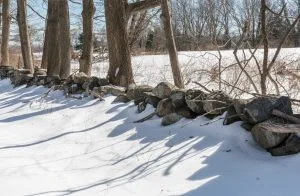 The Long Lots wall from the time of Redding's very earliest settlers, that are saved in perpetuity by RLT. Picture by David Heald