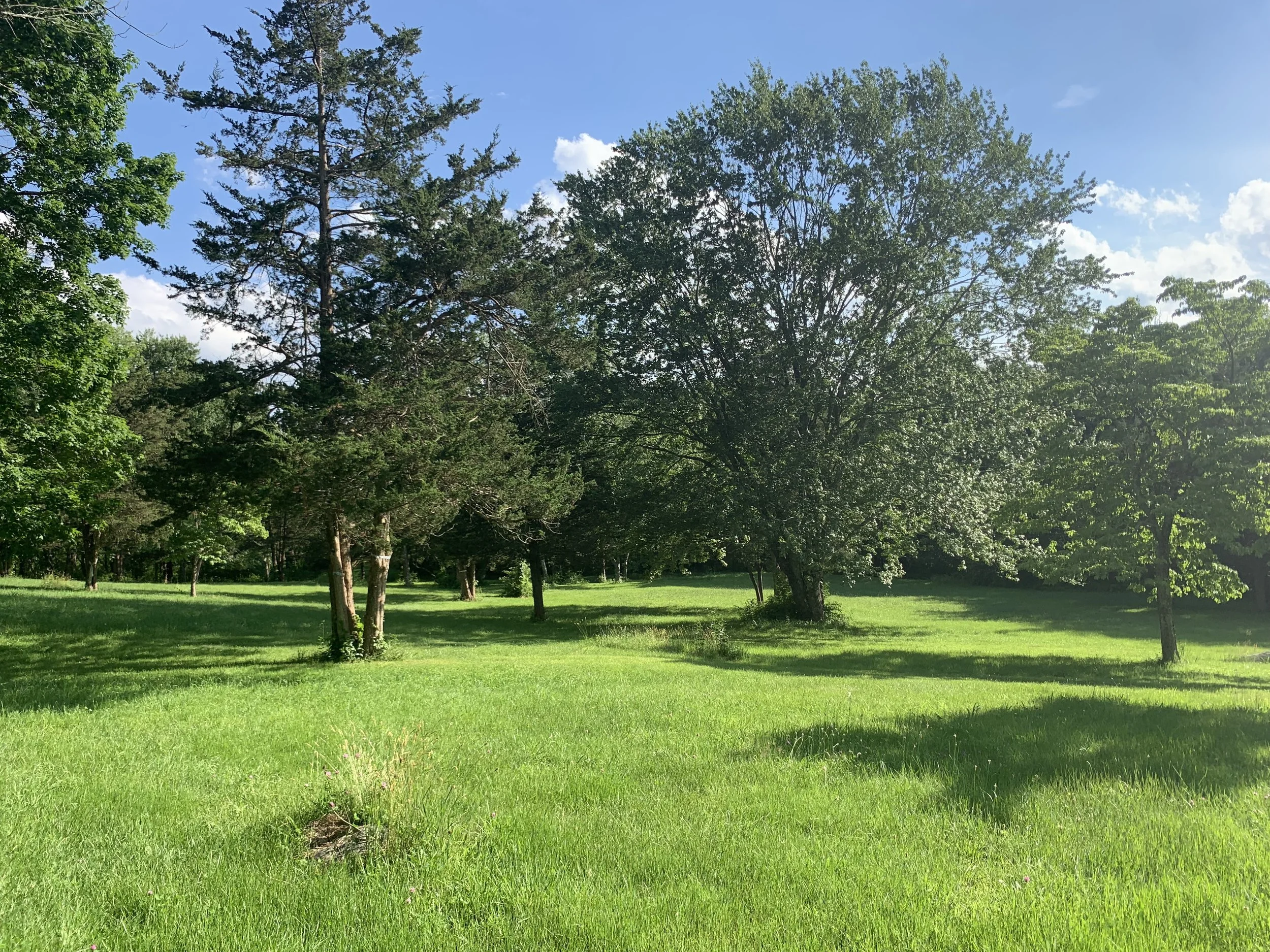 Summer Celebration Scheduled for August 27, 4-7 PM