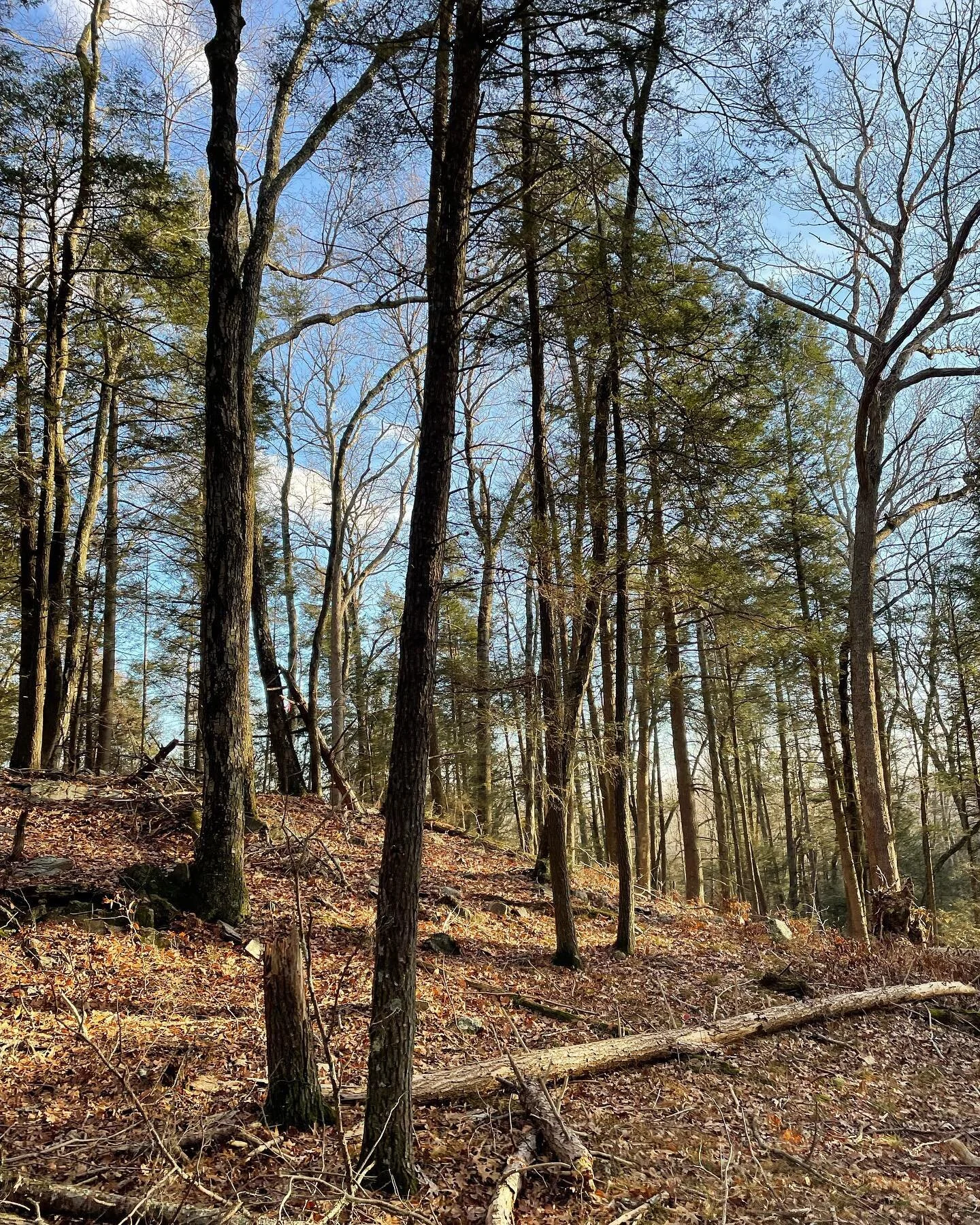 Contact Us — Redding Land Trust