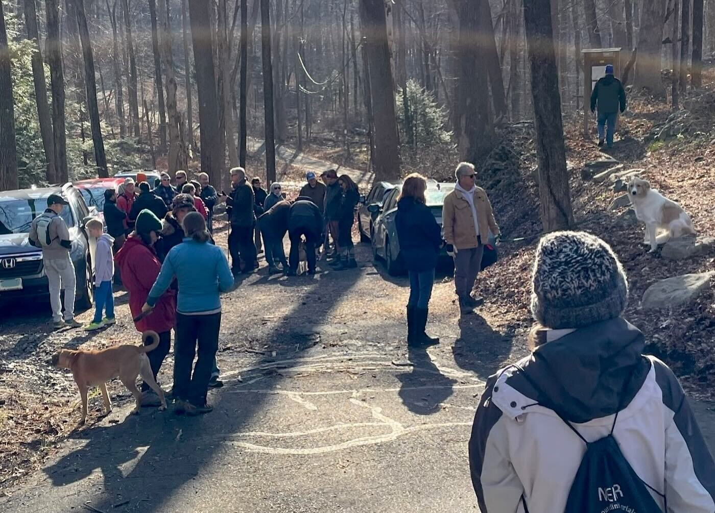 Thanks to all the people - and dogs - who gave us another great turnout at Monday&rsquo;s New Year&rsquo;s hike, and thanks to the clouds for clearing out! (Photos 1 &amp; 2)

At the kiosk/trailhead for the Mary Anne Guitar Preserve, Co-President Gor