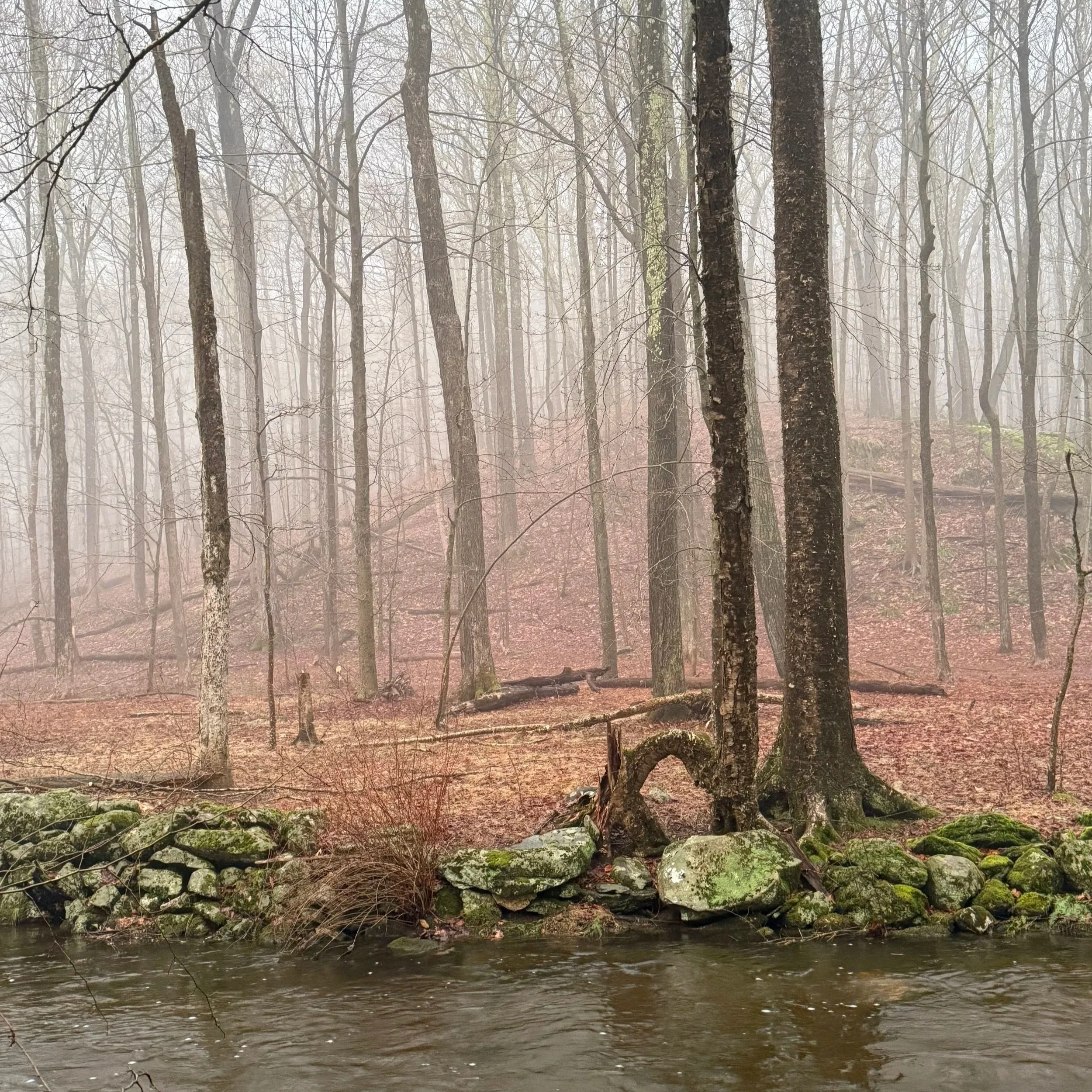 Community Hiking Club: Little River &amp; Cram Preserves, with John Lambrech