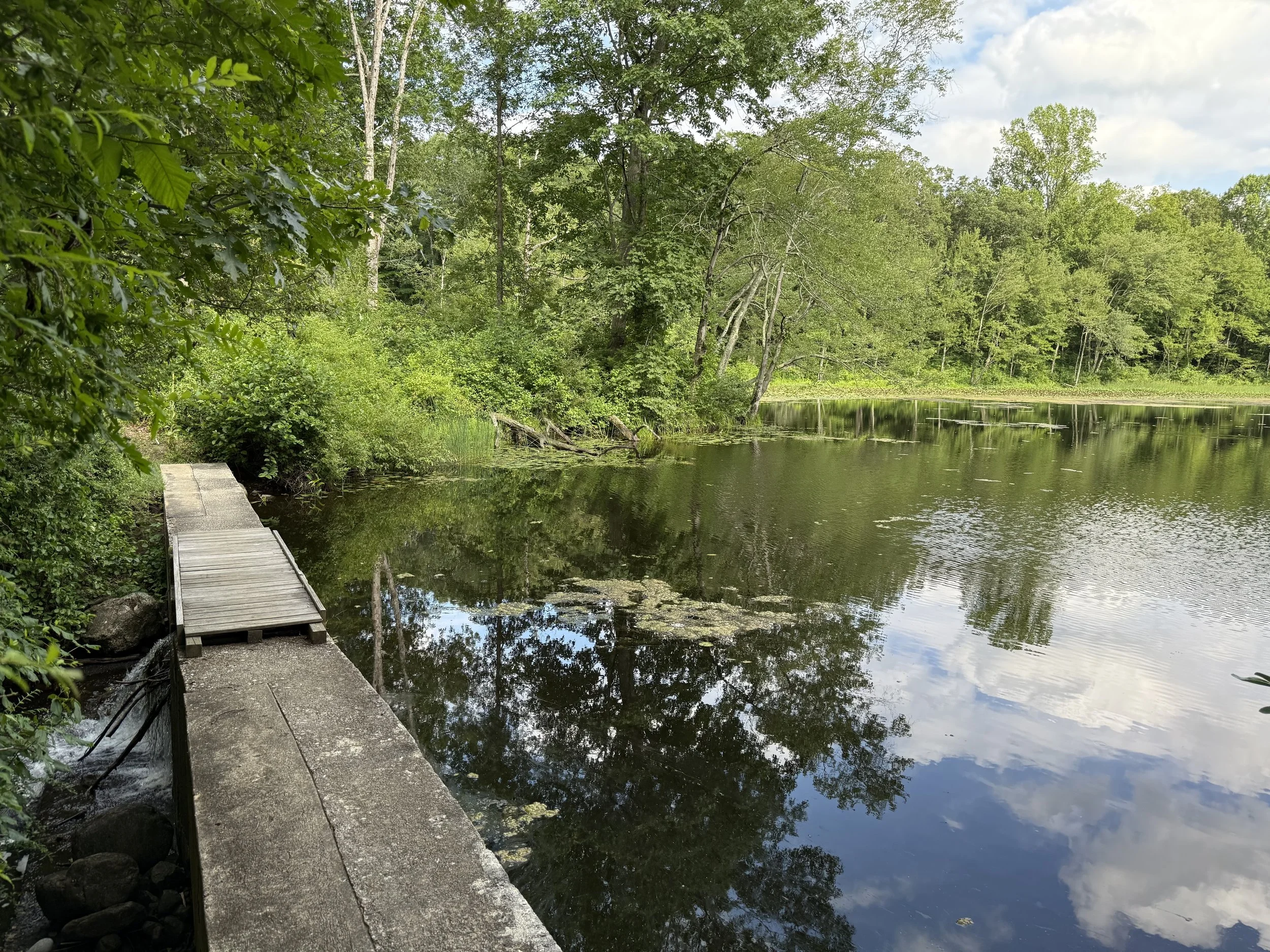Community Hiking Club: Poliak Photo Walk with Photographer, Tony Gale