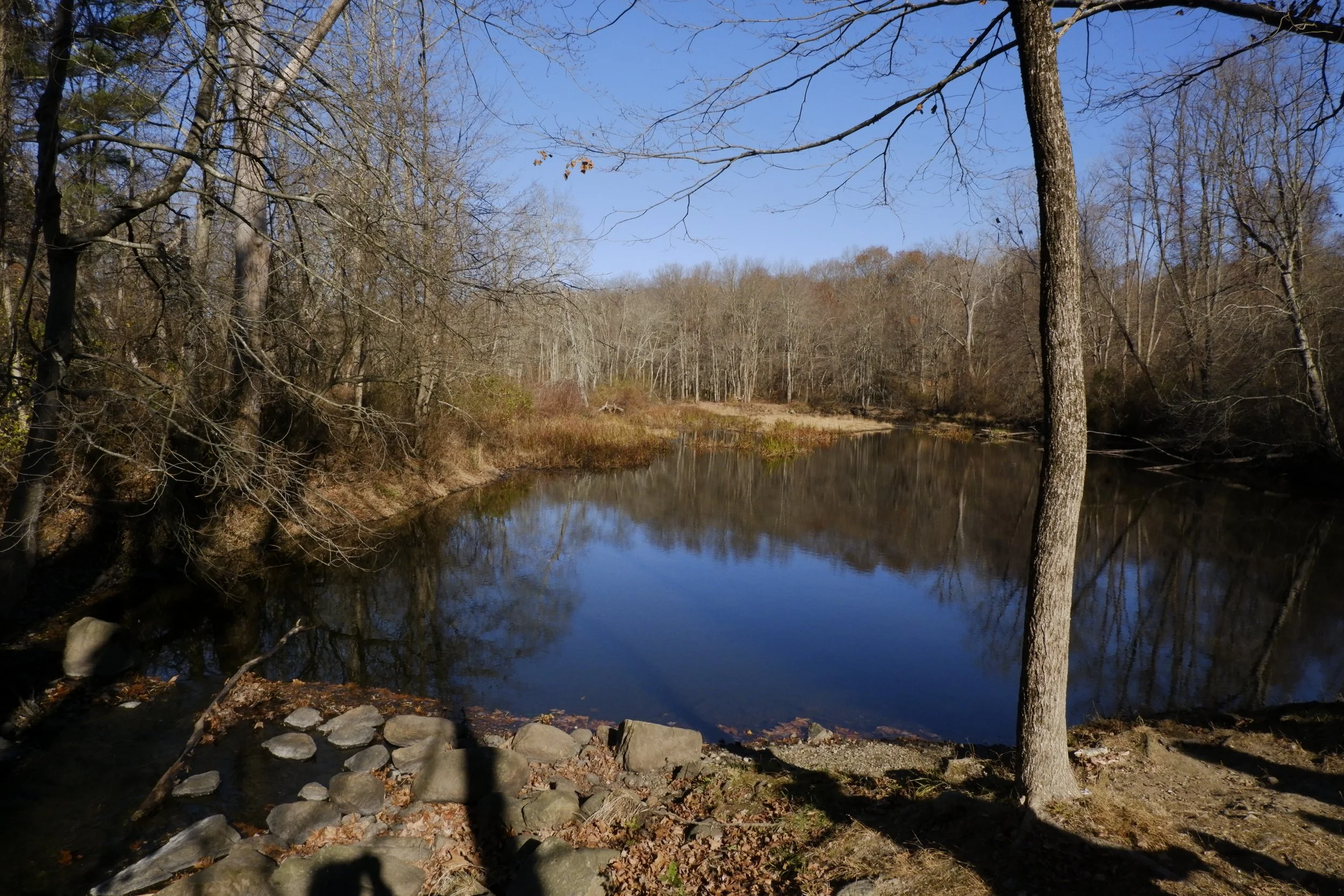 Community Hiking Club: Norwalk River &amp; Pollinators with Victor DeMasi