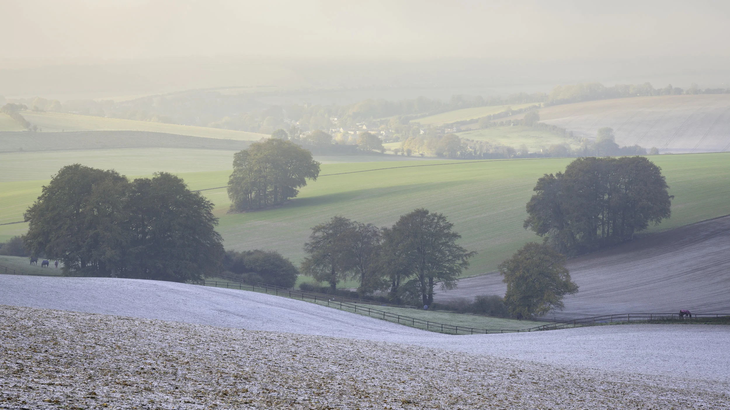 Lambourn Downs - Baydon