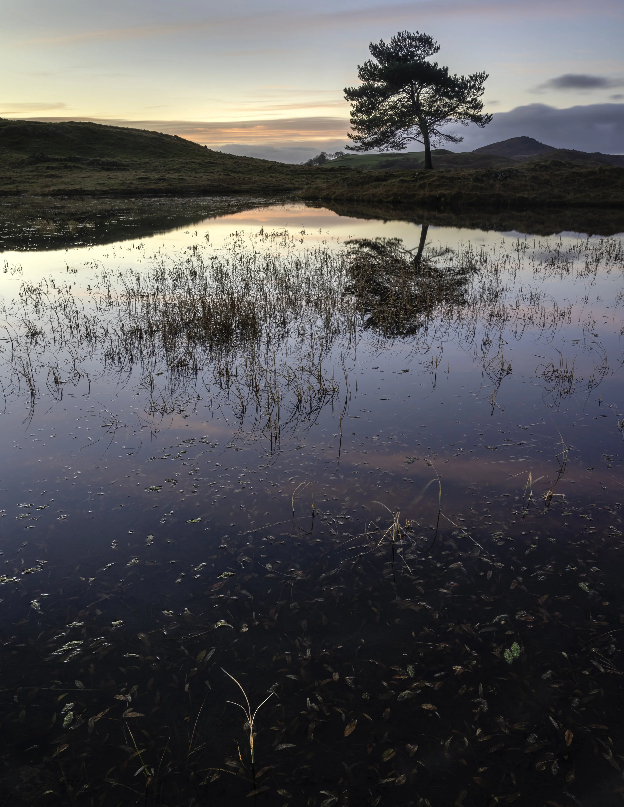 Kelly Hall Tarn.jpg