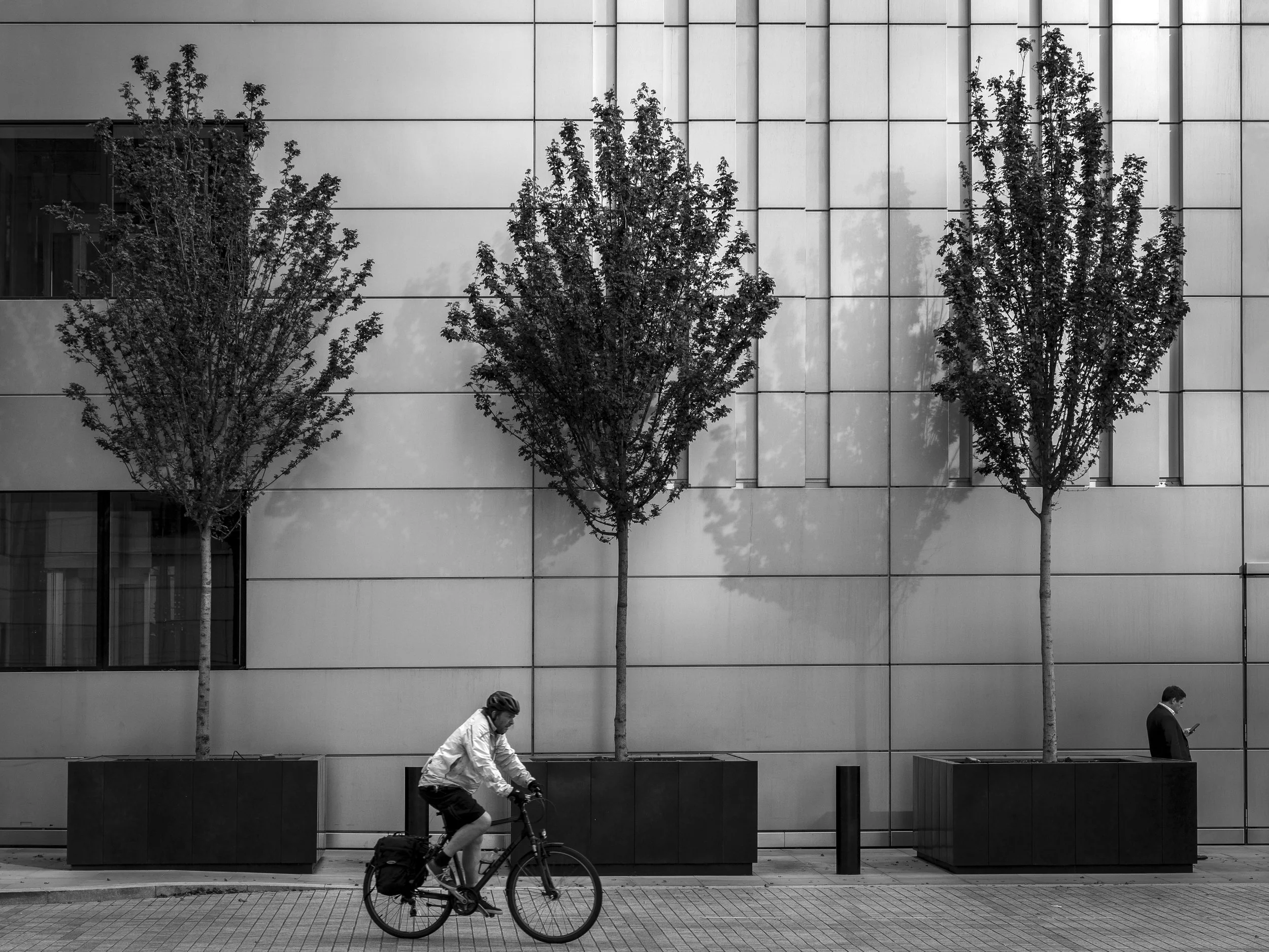 Three Trees - London