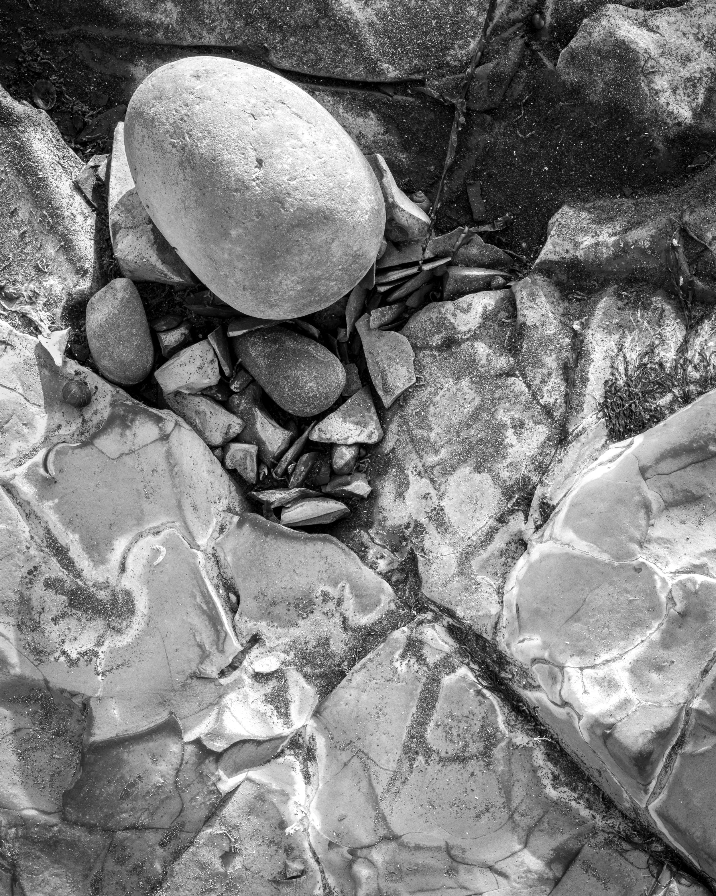 Dragons Egg