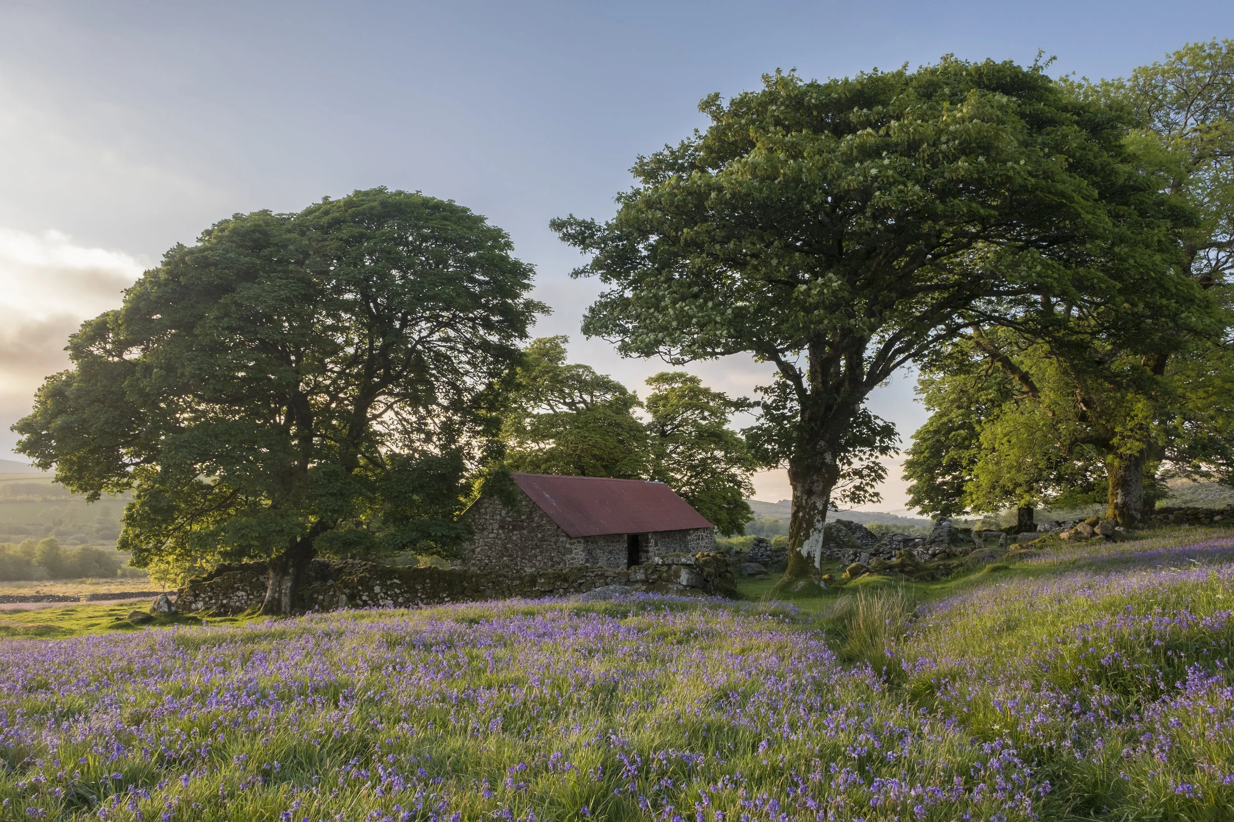 Emsworthy Mire