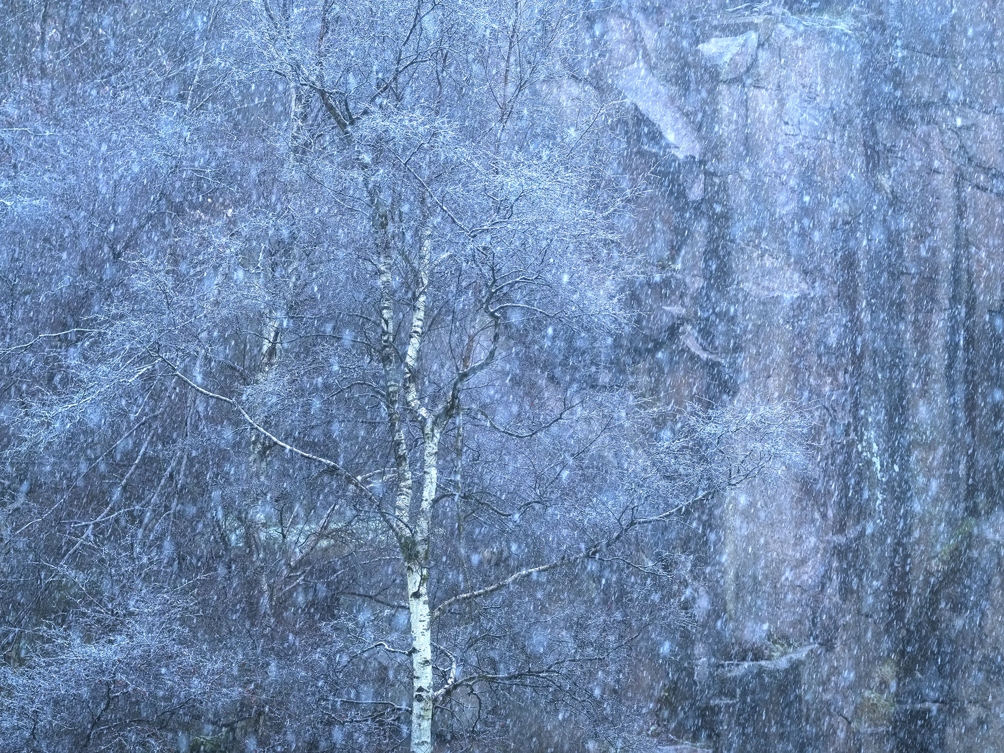 Snowfall
