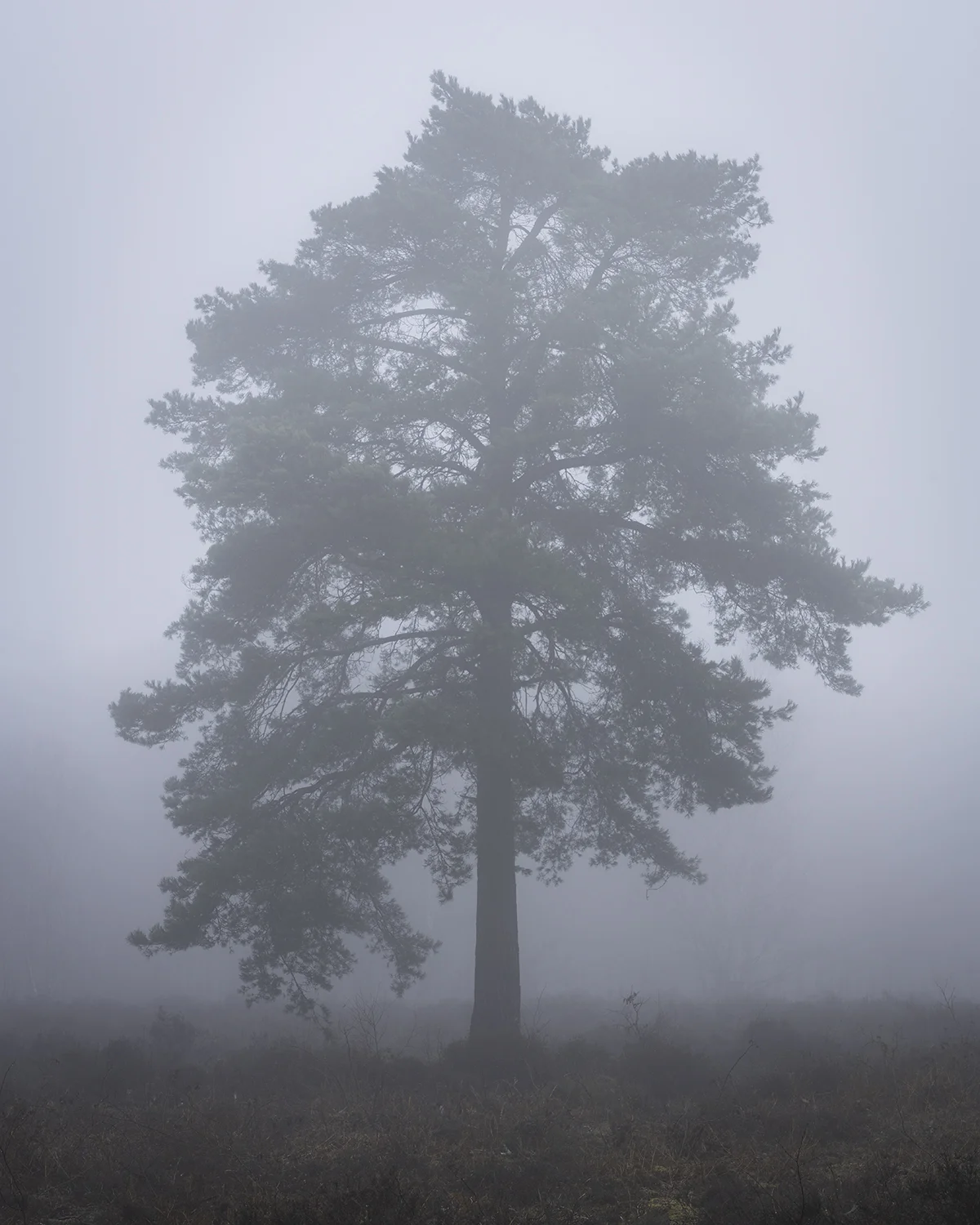 Isolation