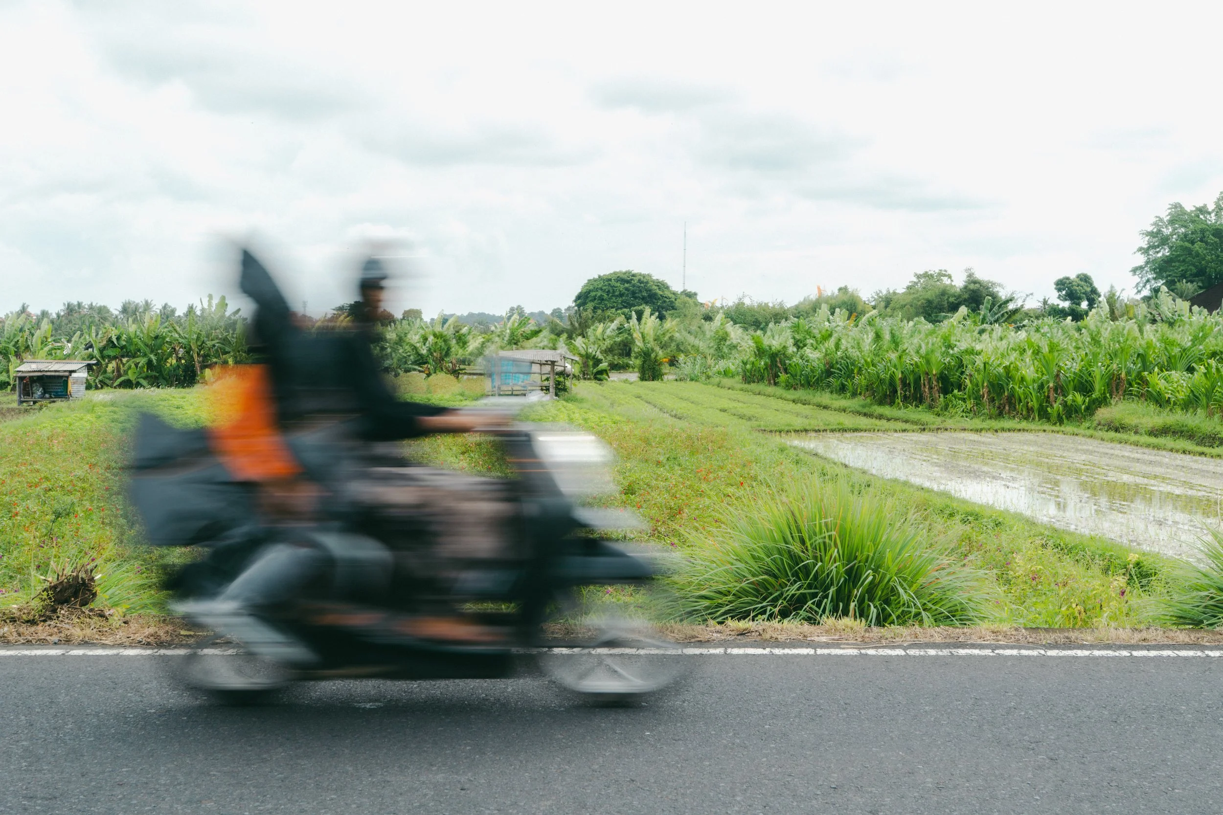  Whilst Bali is renowned for its rice fields, sites like these were described by witnesses as locations where bodies were disposed of during the mass killings. 